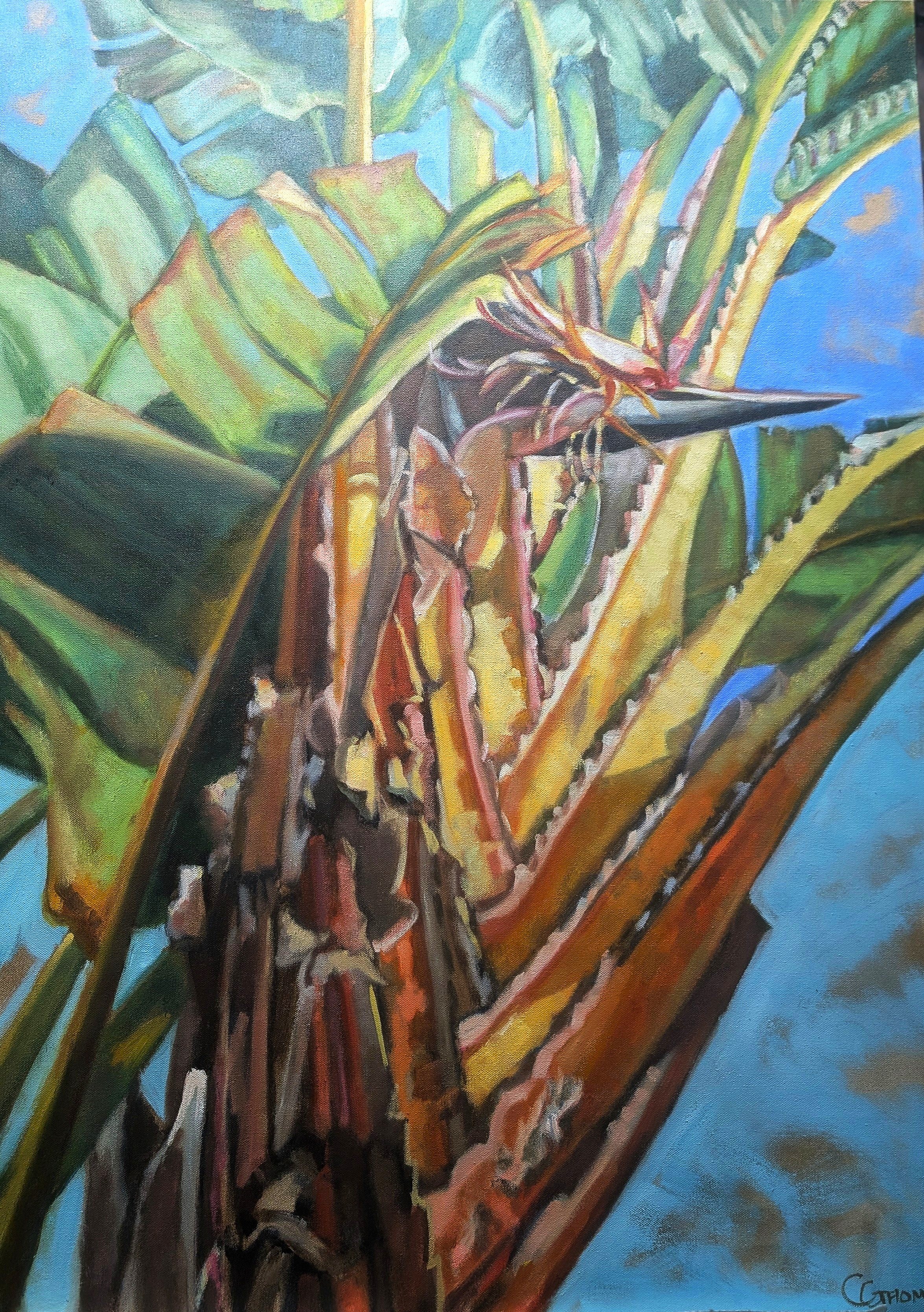 Bird of Paradise Palm 40" x 30" OIl on Canvas
