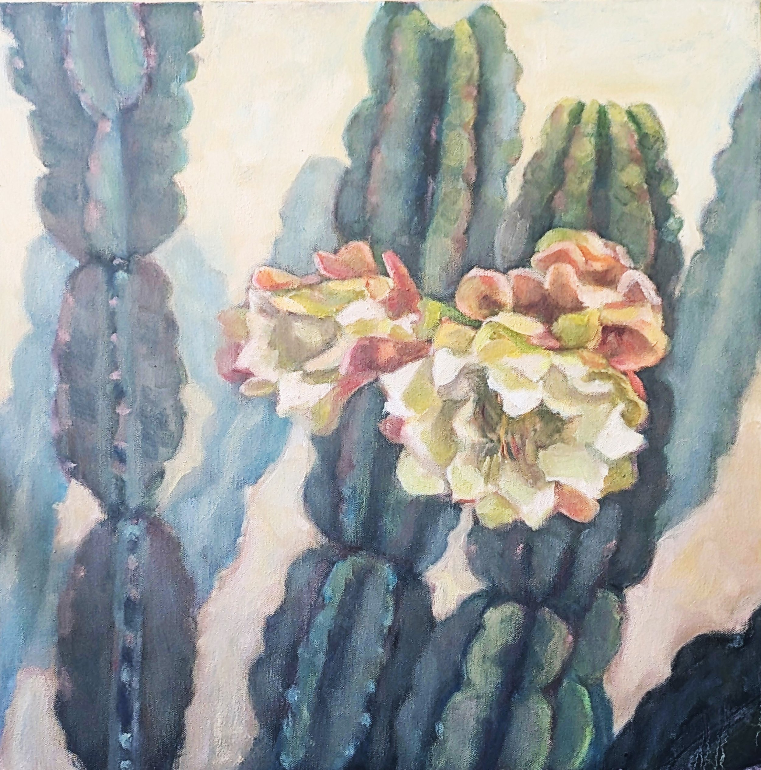 Cactus Blooms 24" x 24"  OIl on Canvas