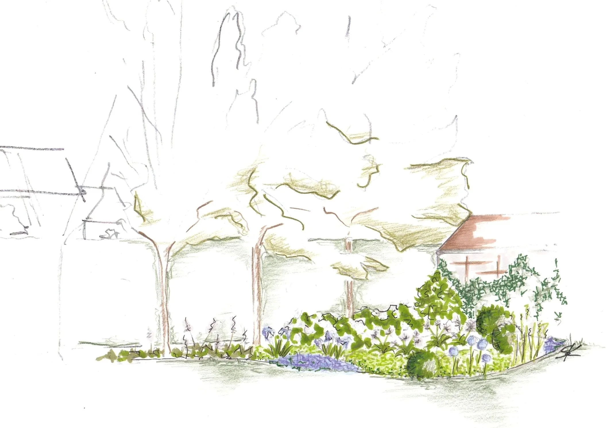 Un jardin avec des arbres, des buissons et des fleurs devant une maison. Dessin aquarelle délicat.