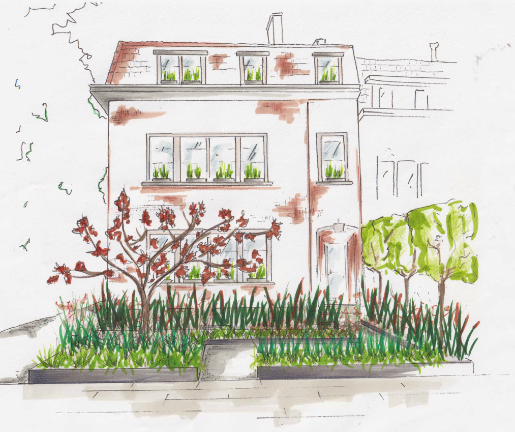 Une illustration d'une maison Bruxelloise  à plusieurs étages avec des fenêtres où l'on voit des plantes vertes, un arbre avec des feuilles rouges et un autre arbre avec des feuillages verts, entourée d'un jardin avec des herbes et des buissons