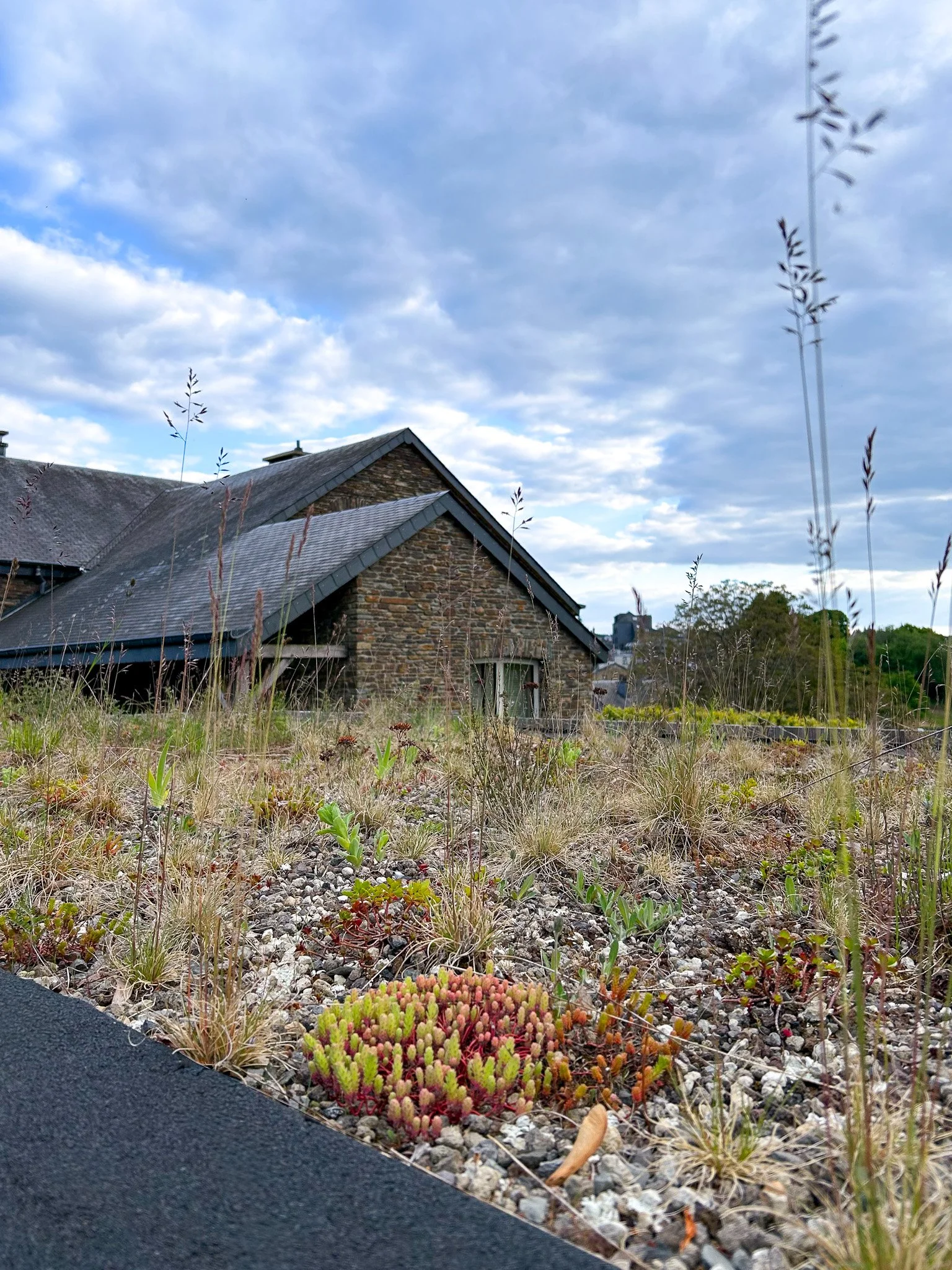 Vue d'une maison en pierre avec un toit en pente, entourée de végétation et un ciel partiellement nuageux.