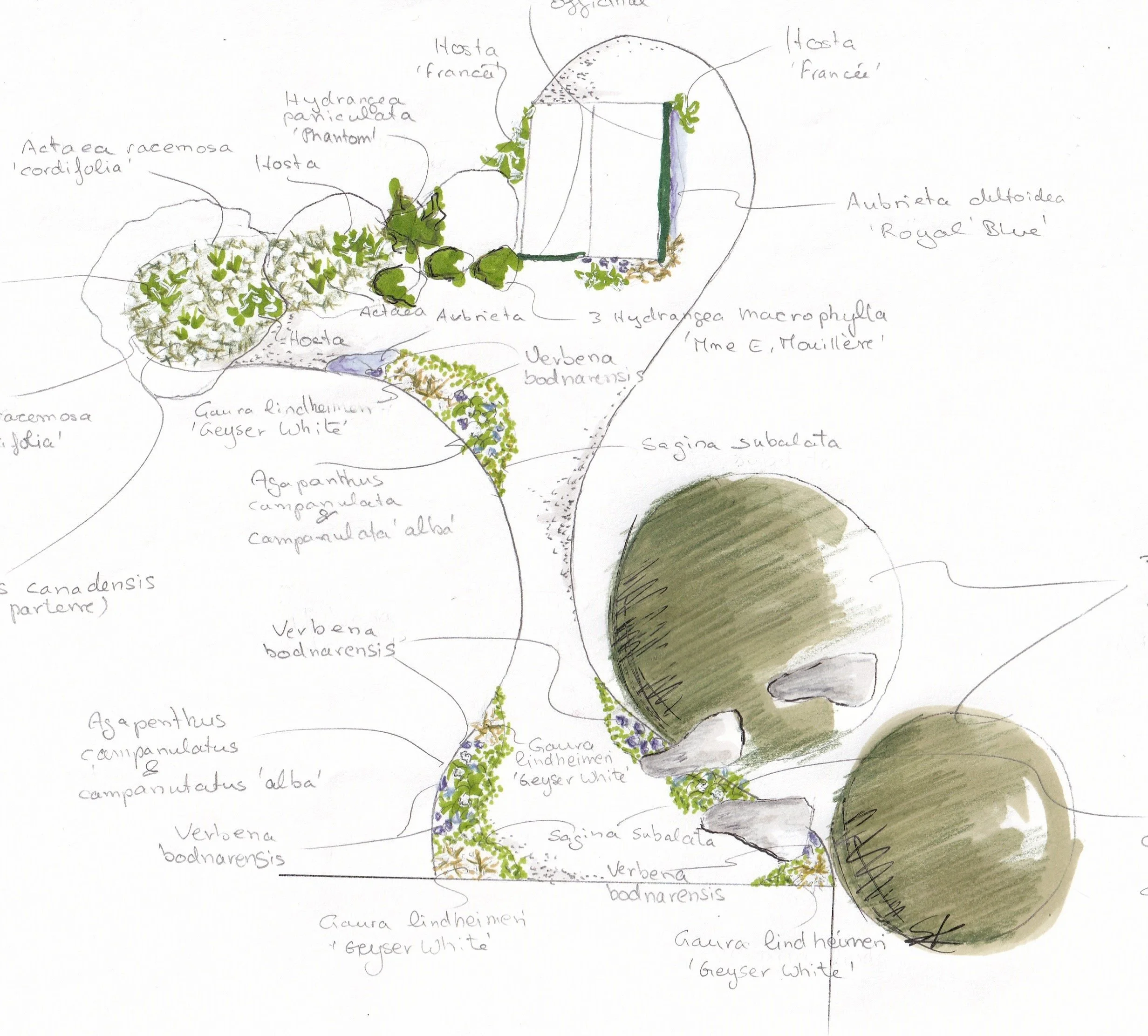 Schéma botanique illustrant différentes plantes et leur disposition, avec noms en français et italiens, incluant des graminées, arbustes et autres végétaux.
