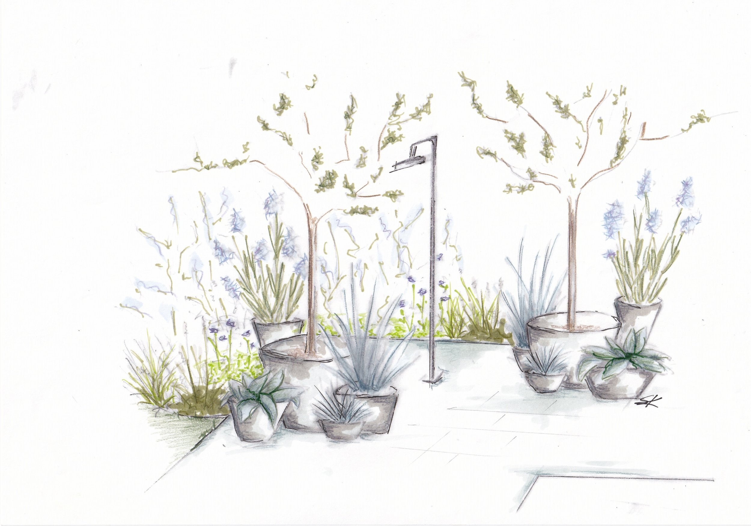 Croquis d'un espace extérieur avec des plantes en pot, deux arbres, et un lampadaire.