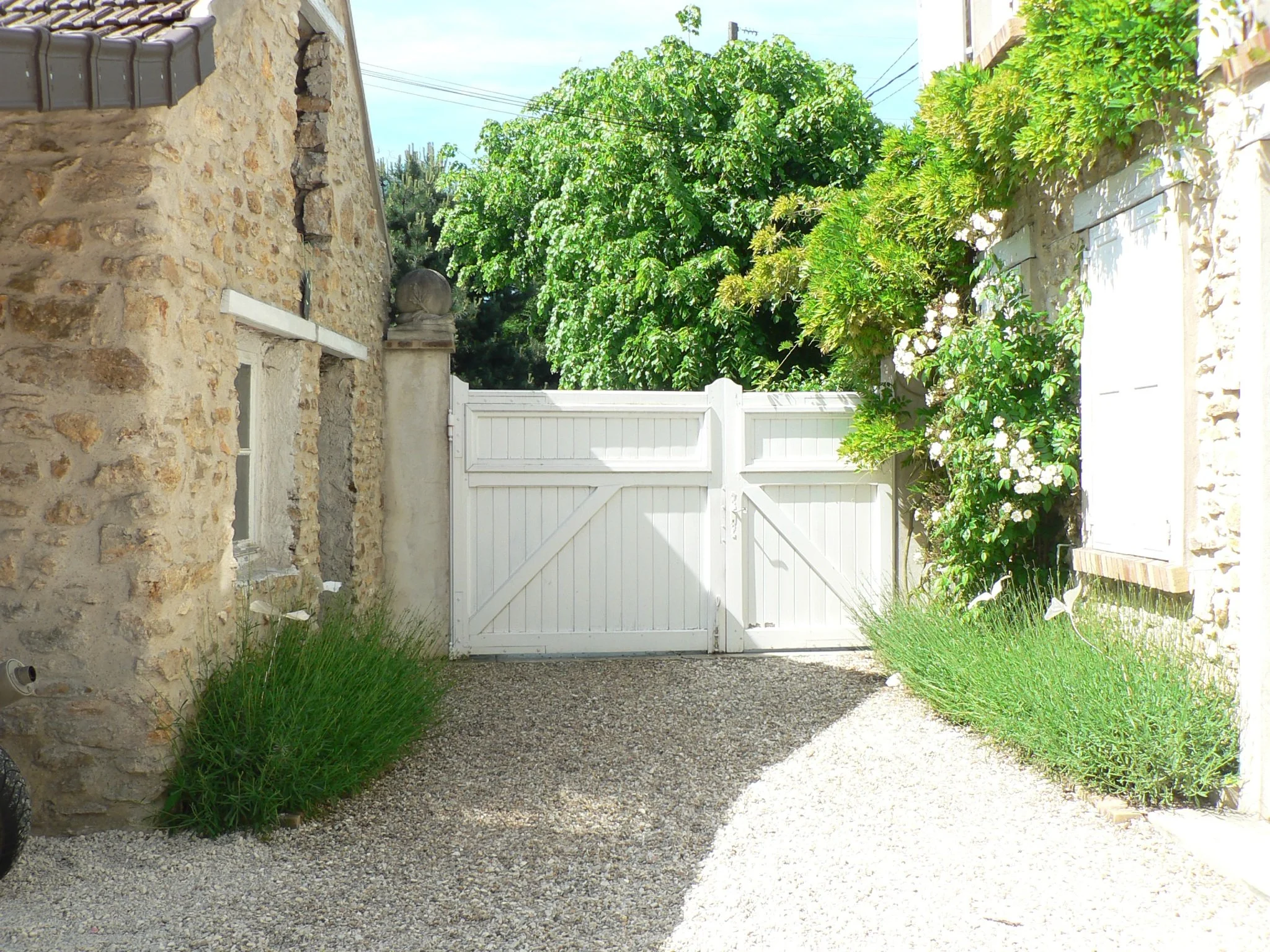 Cour fermée avec un portail en bois blanc, murs en pierre, arbres et plantes vertes
