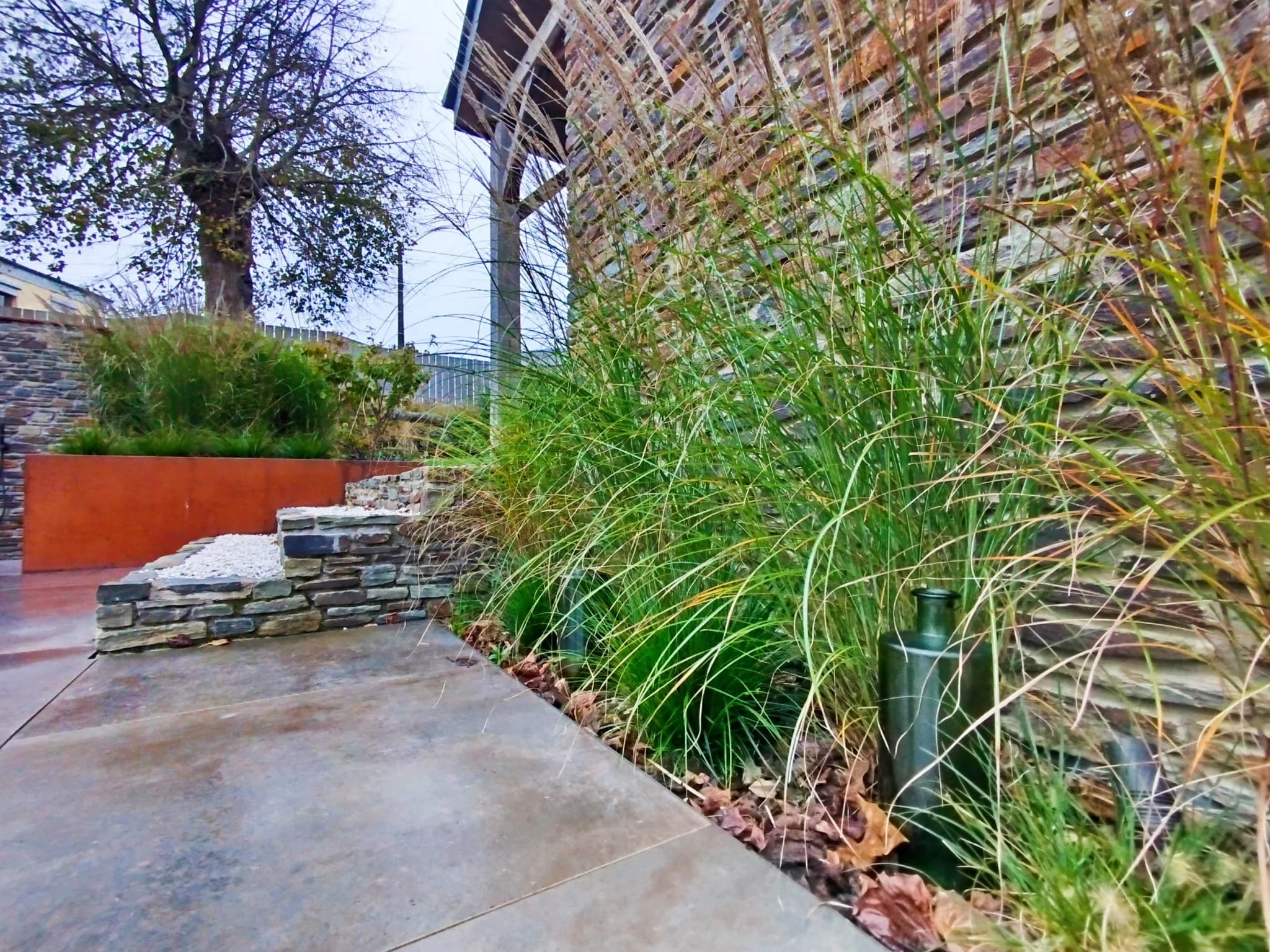 Jardin urbain avec plantes hautes, une clôture en pierre, un mur en briques, un arbre et un sol en béton humide, en ambiance pluvieuse.