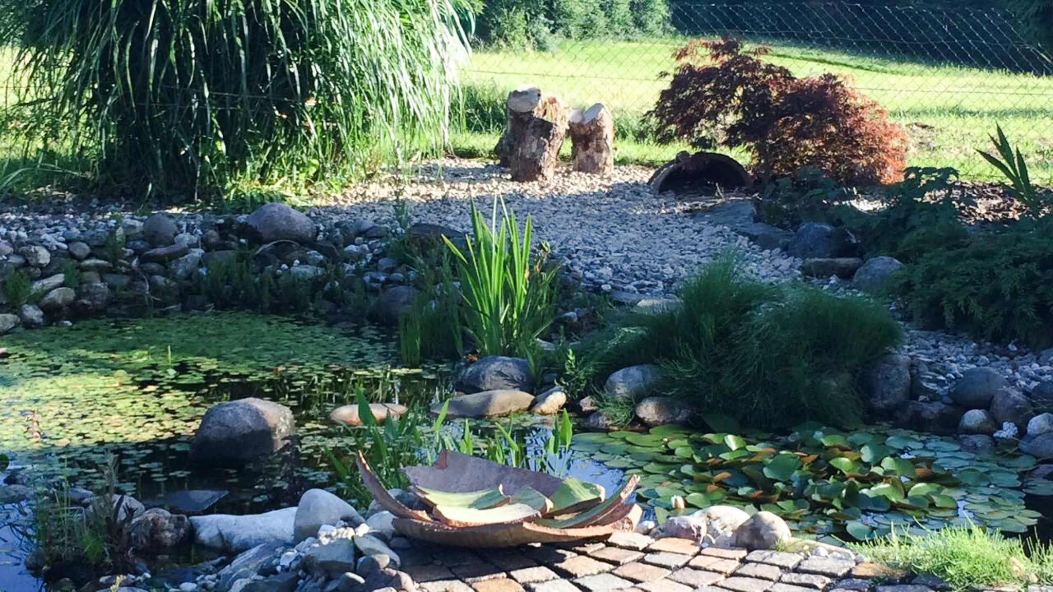 Un jardin avec un étang entouré de plantes et de pierres, avec des feuillages et un fond de clôture en fil de fer.