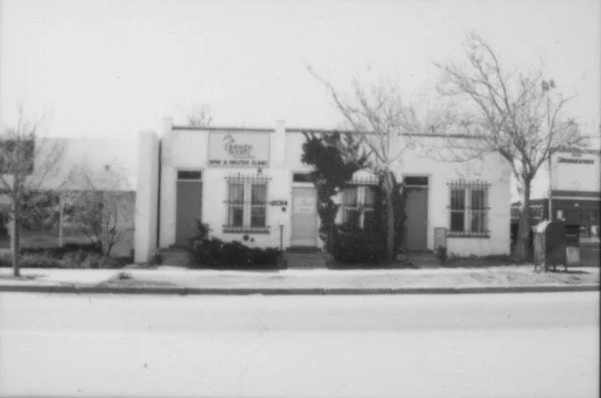 HSBV-Spay-Neuter-Clinic-Pearl.jpg
