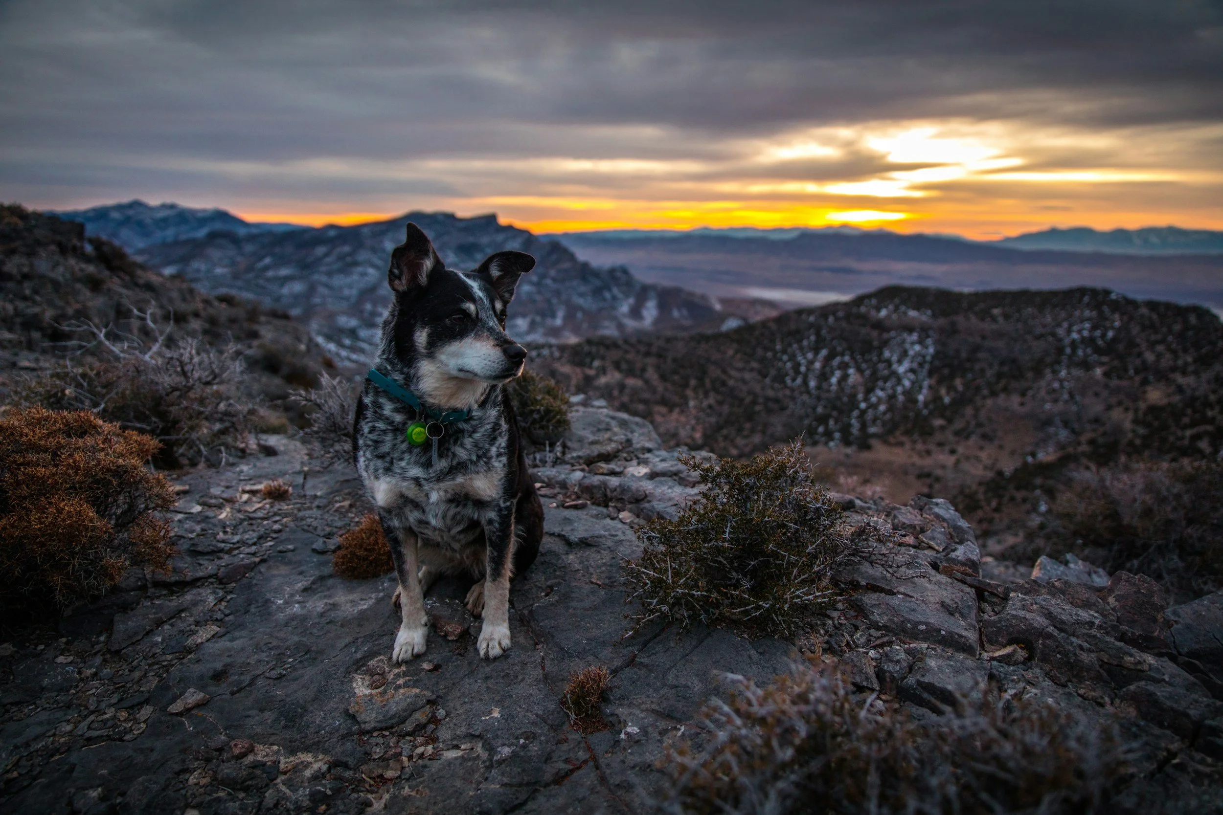 unsplash-image-L61EVdGUaZ4.jpg