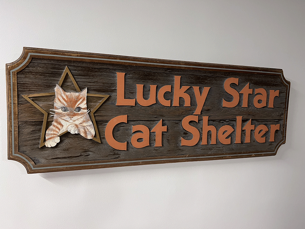 Lucky Star Cat Shelter Denver.png