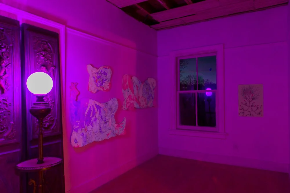 Shadow Walls_Beyond the Veil_Nov 2025_credit Molly Stinchfield_web size_72 dpi_sRGB-9367.jpg
