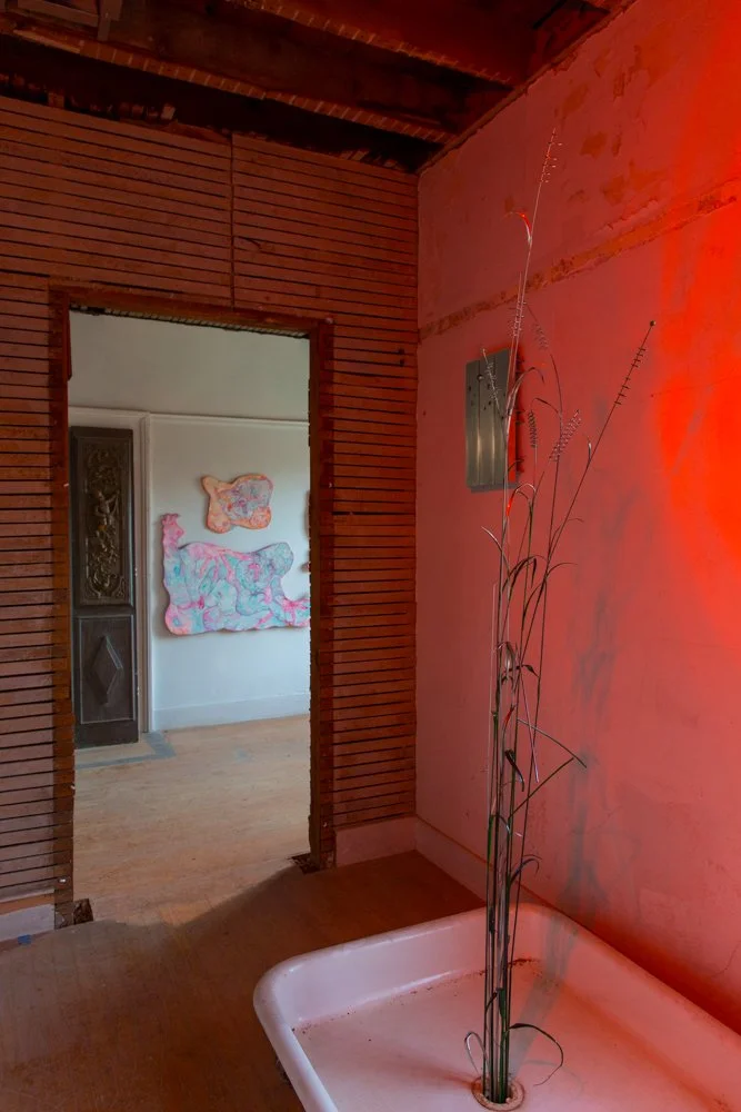 Shadow Walls_Beyond the Veil_Nov 2025_credit Molly Stinchfield_web size_72 dpi_sRGB-9290.jpg