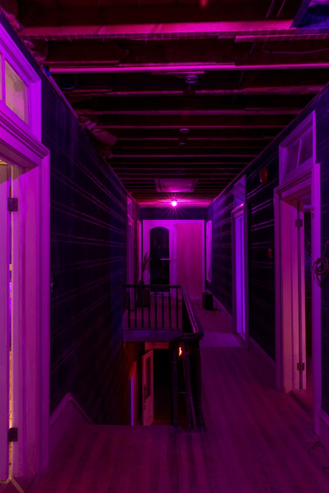 Shadow Walls_Beyond the Veil_Nov 2025_credit Molly Stinchfield_web size_72 dpi_sRGB-9426.jpg