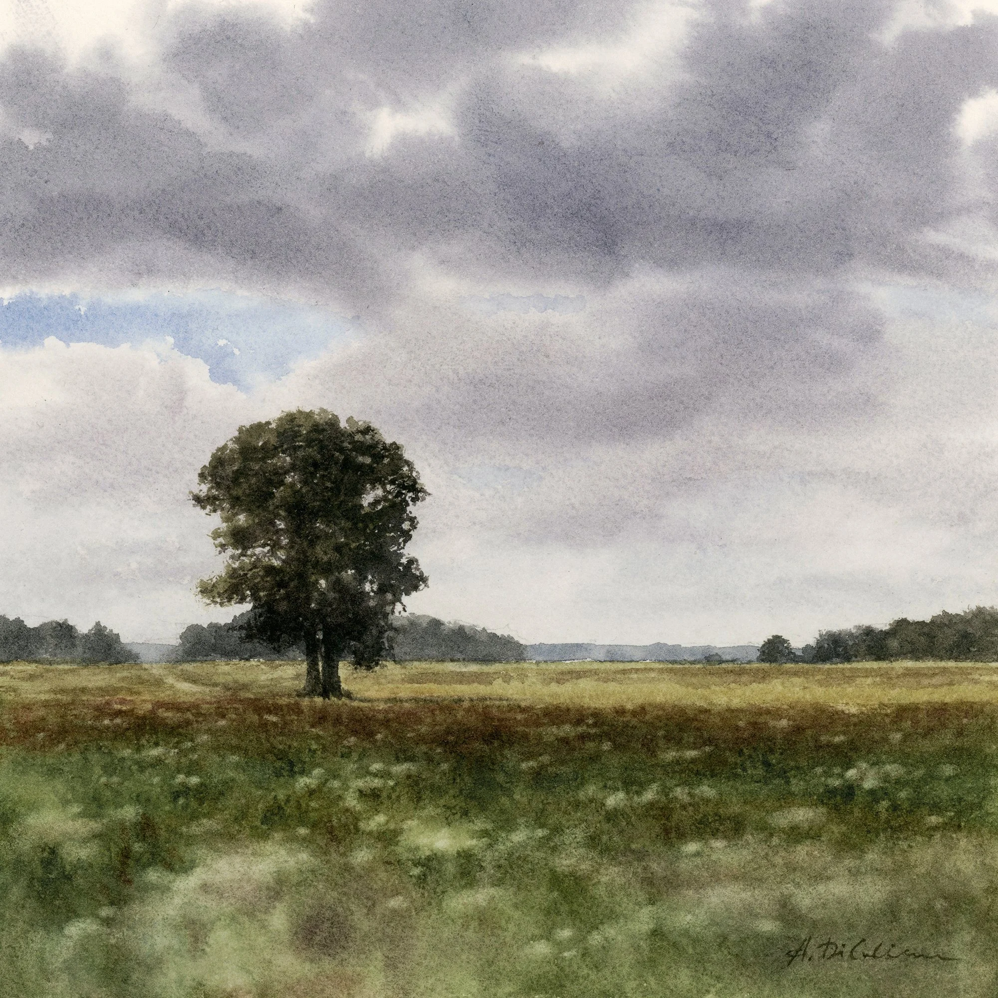 whispers-of-the-July-meadow-watercolor-landscape-alex-dildiene-art-2000.jpg
