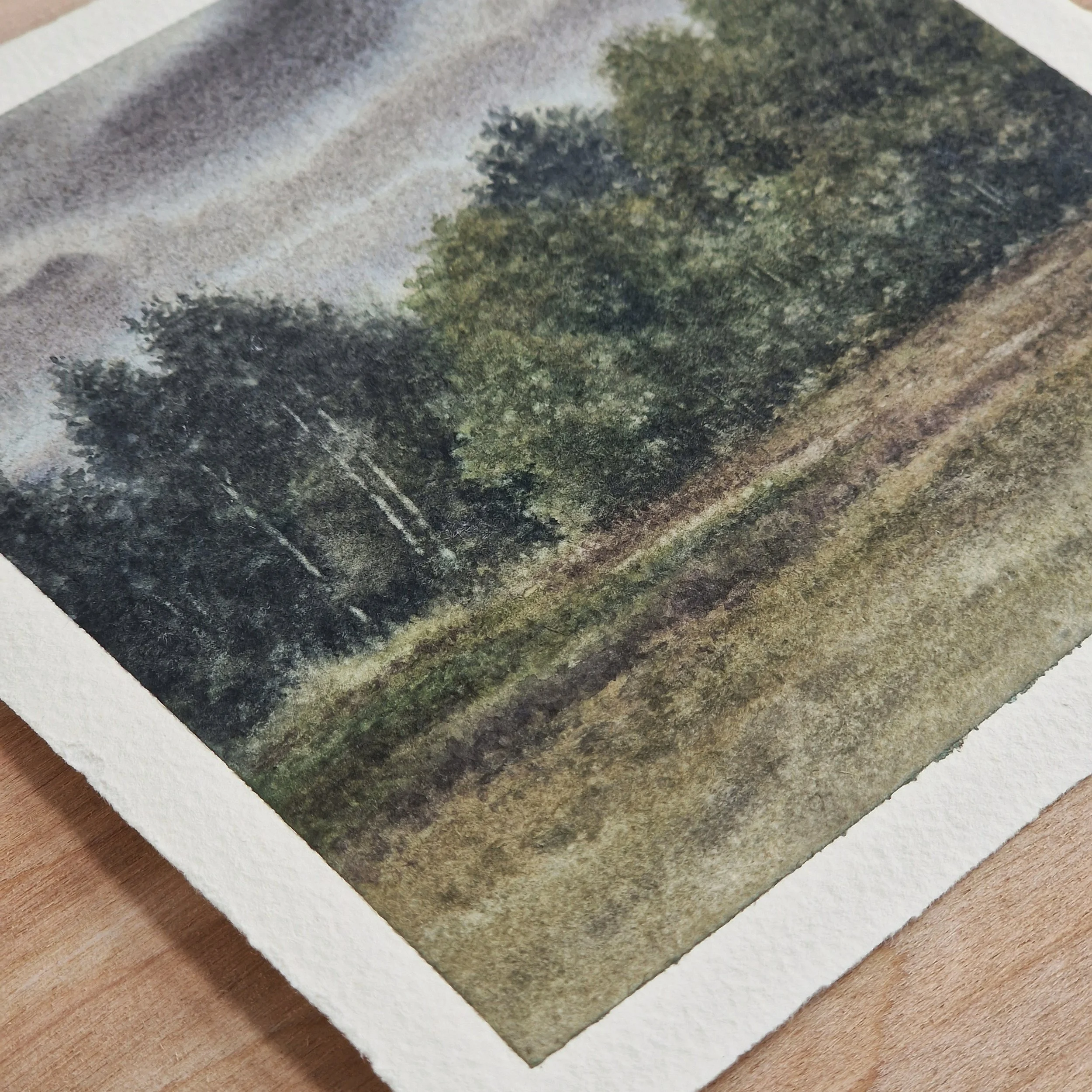 glimpse-of-light-watercolor-alex-dildiene-04 copy.jpg