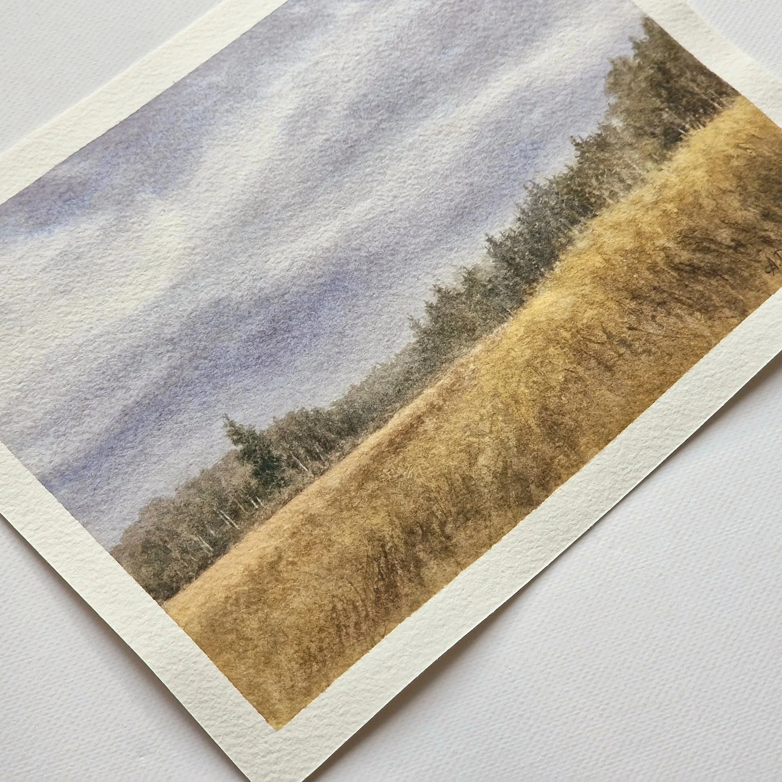 golden-field-alex-dildiene-for-web-3.jpg