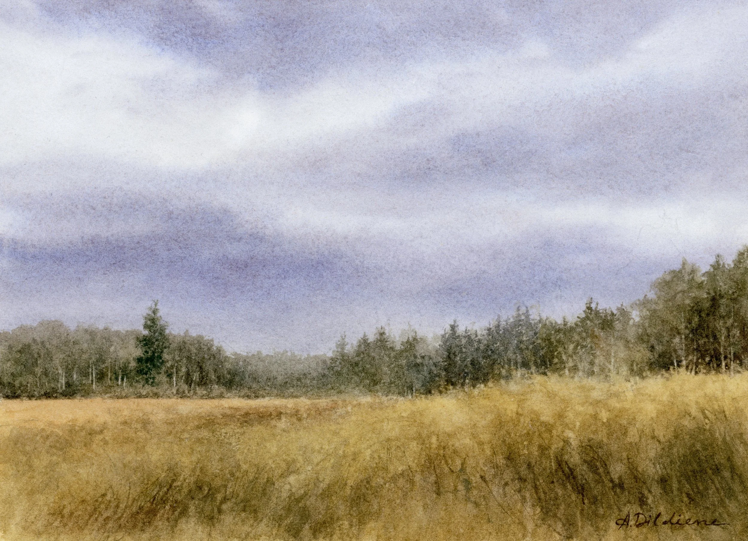 golden-field-alex-dildiene-for-web-2.jpg
