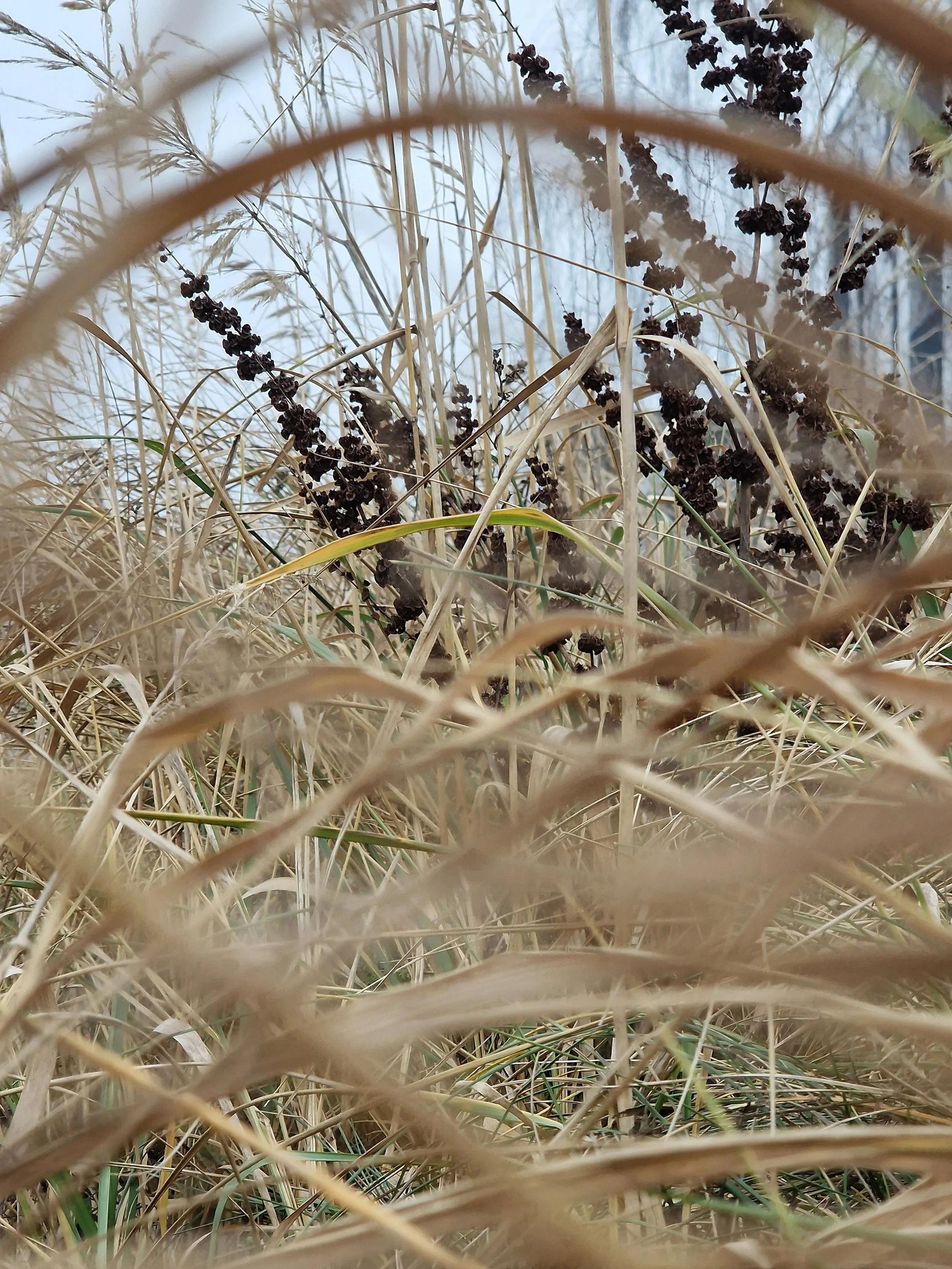 20241207_142103.jpg