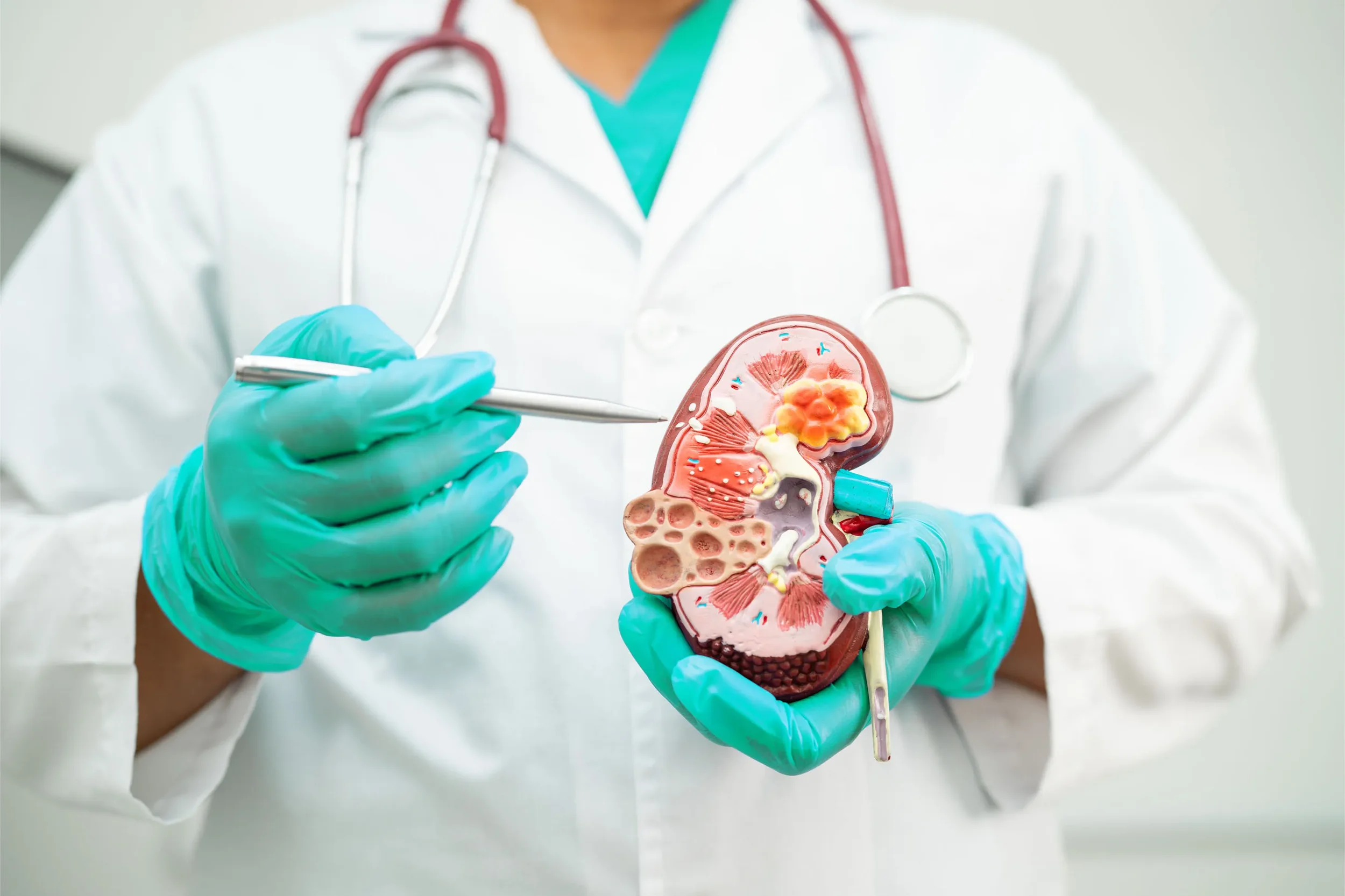 КЛИНИКА ПО НЕФРОЛОГИЯ