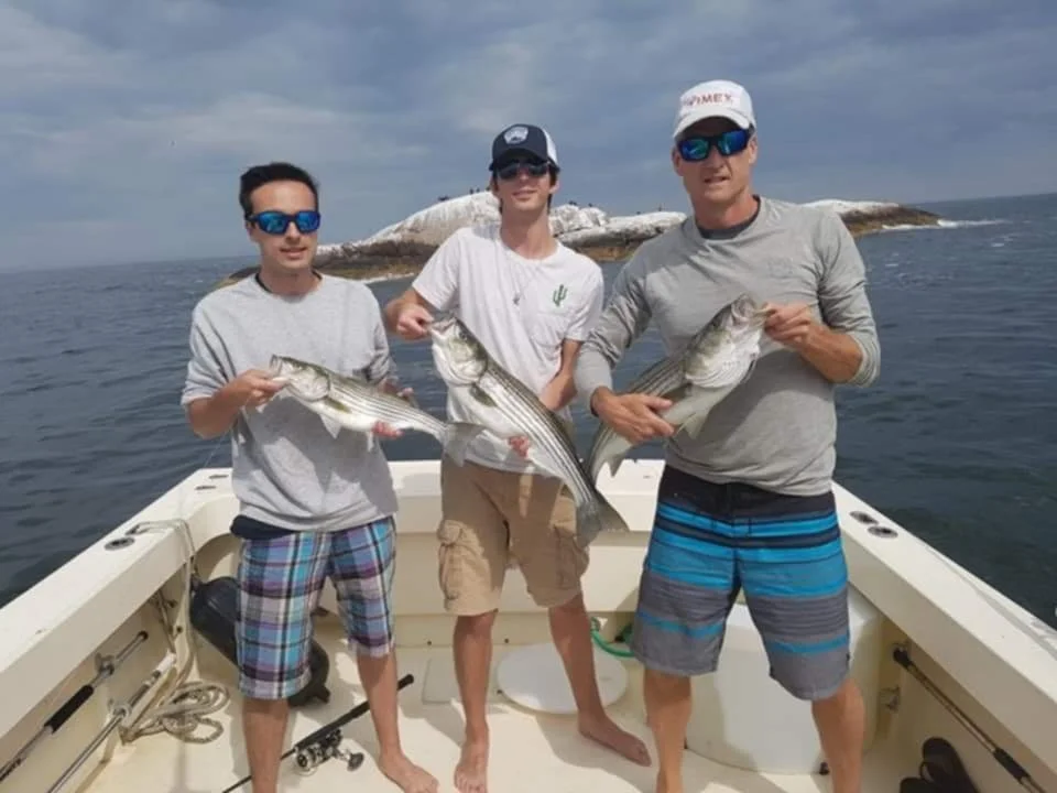 Three men on a boat holding striped bass fish they caught while fishing at sea, with an island in the background.