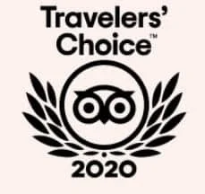 Travelers' Choice 2020 logo with owl face, laurel branches, and text
