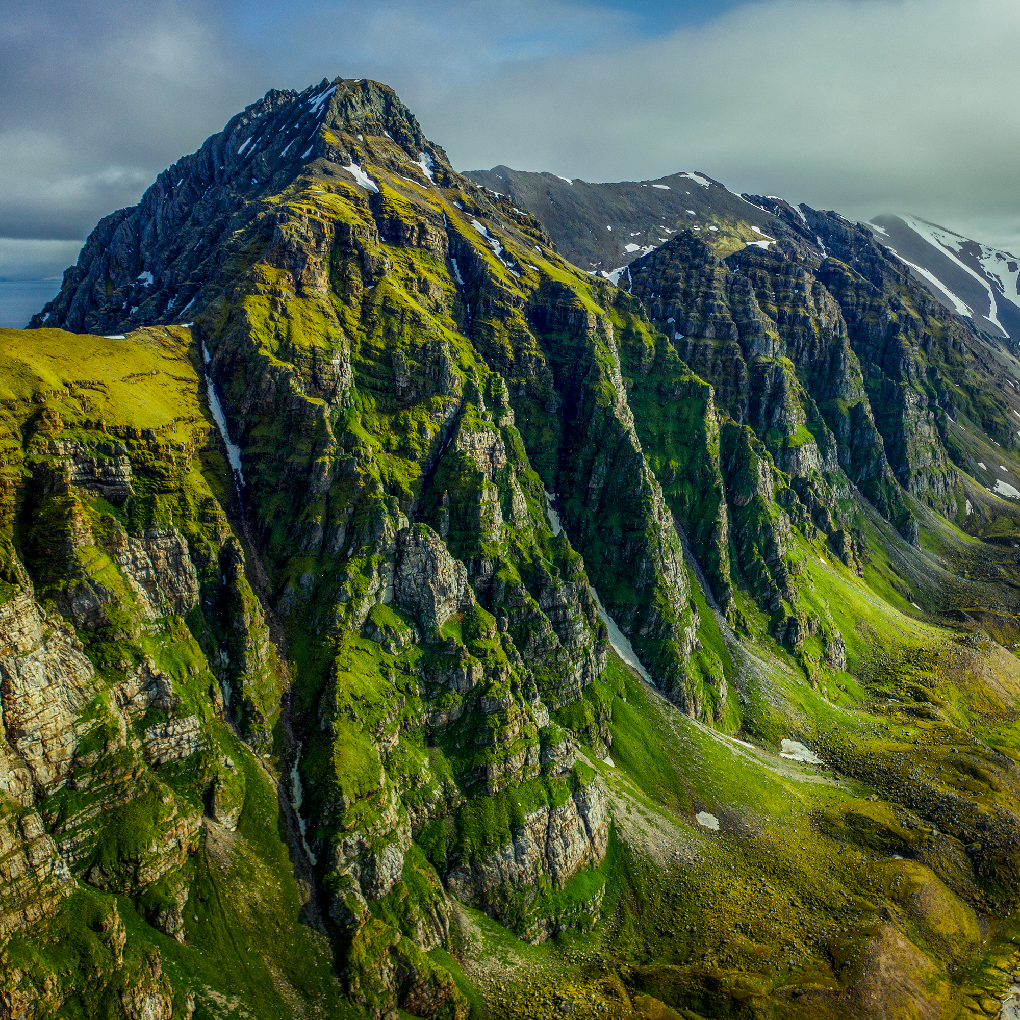 STJÖRNUVESNING: POLAR TEA