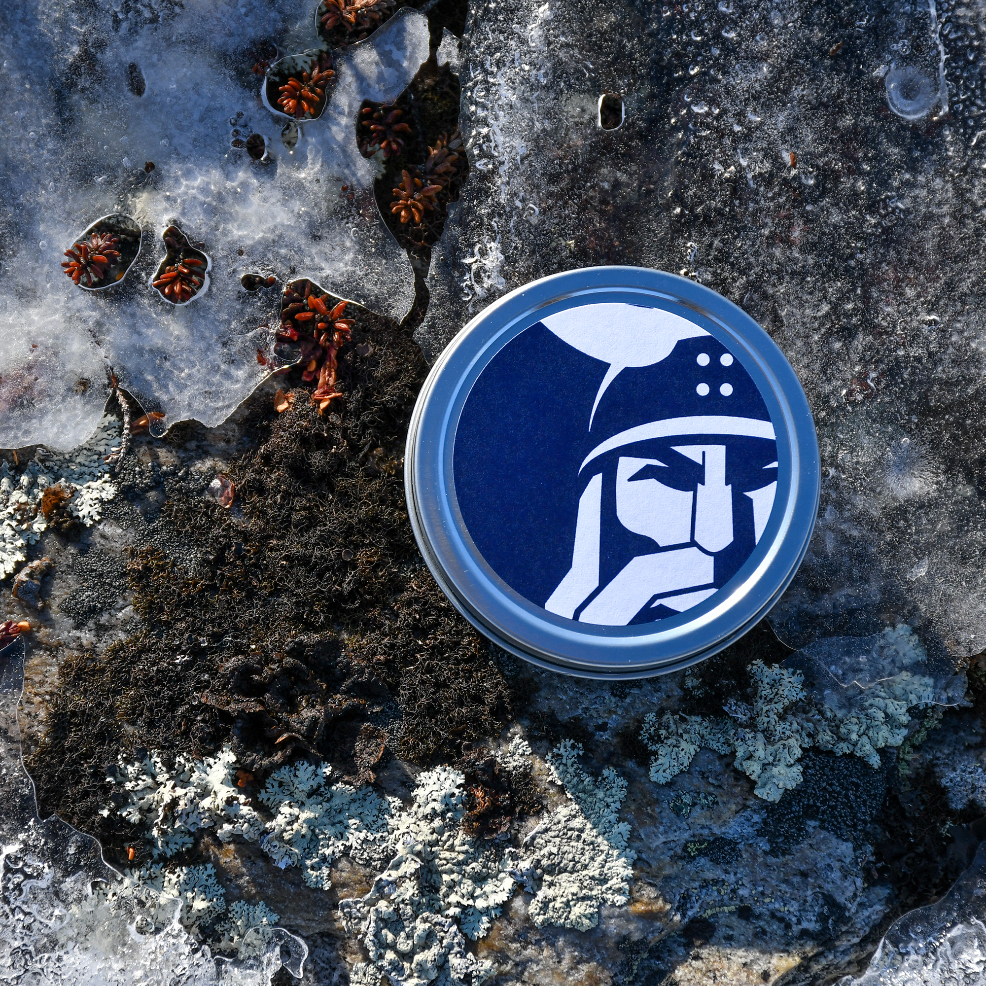VARRARSMJÖR: NORDIC LIP BALM