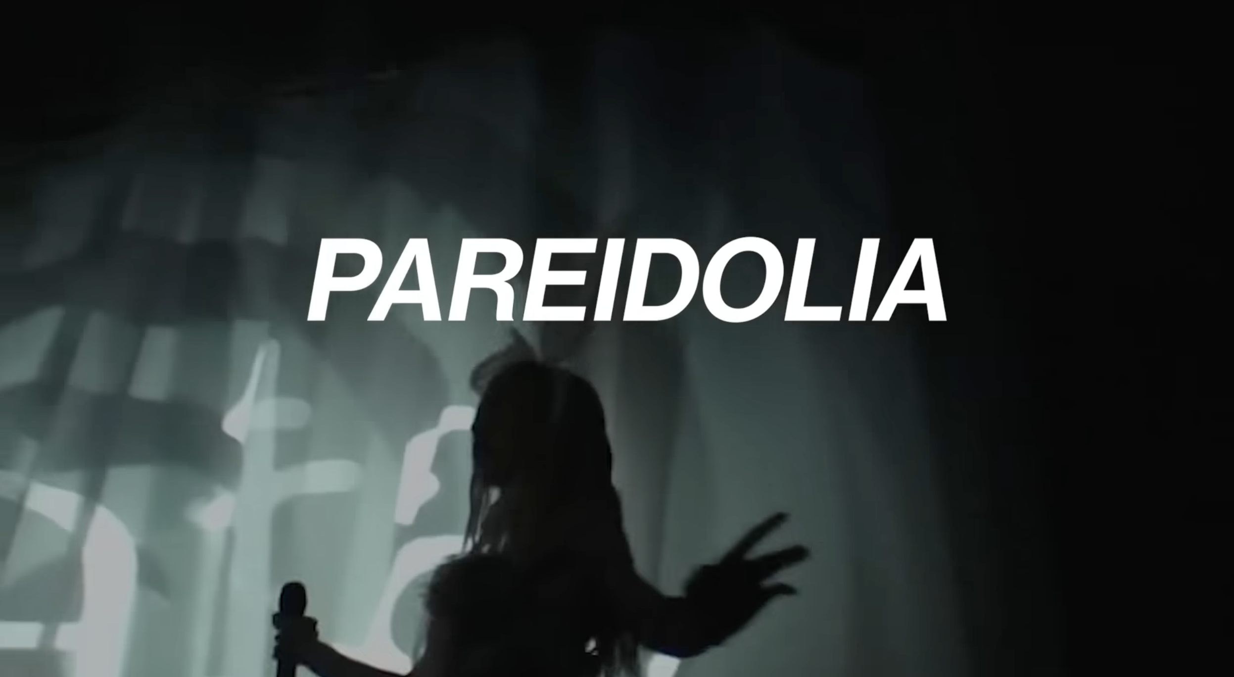 Erin Le Count Pareidolia Tour Diary