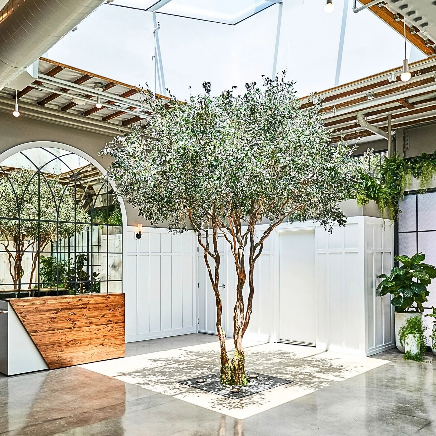 FLORA | HOSPITALITY

The entrance to Flora features a moss sign and leads to a cocktail lounge with skylights, live greenery, and movable partitions creating a secret garden ambiance. The main event hall has arched mirrors reflecting live and preserv