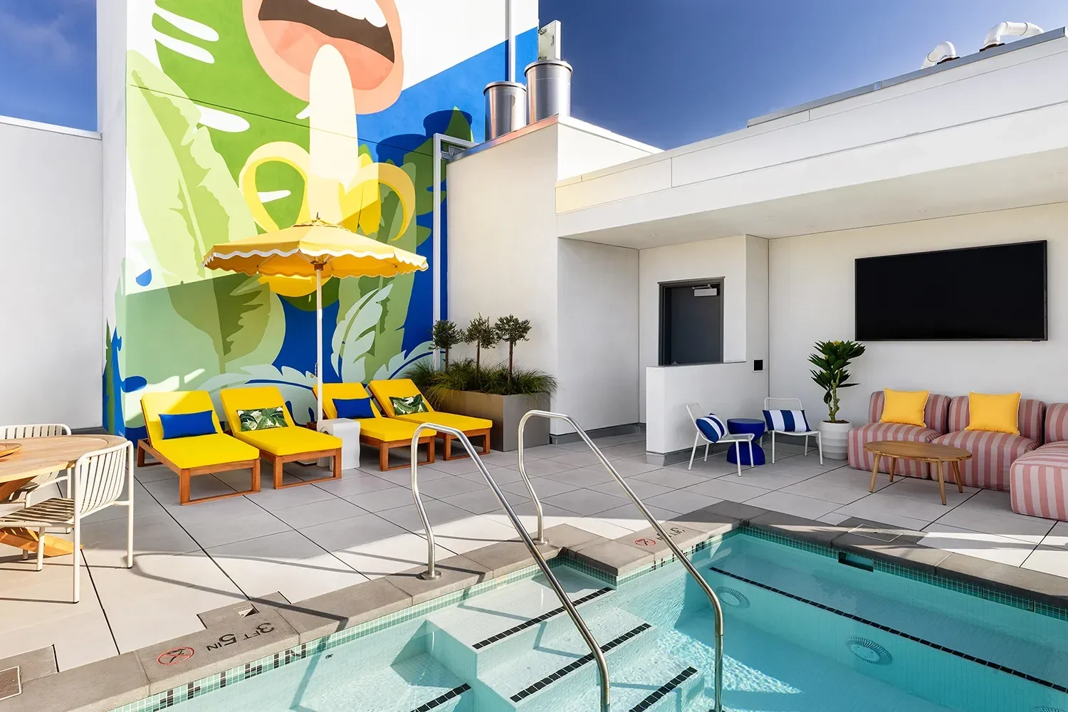 8th-and-u-rooftop-pool-deck-botanical-mural.webp