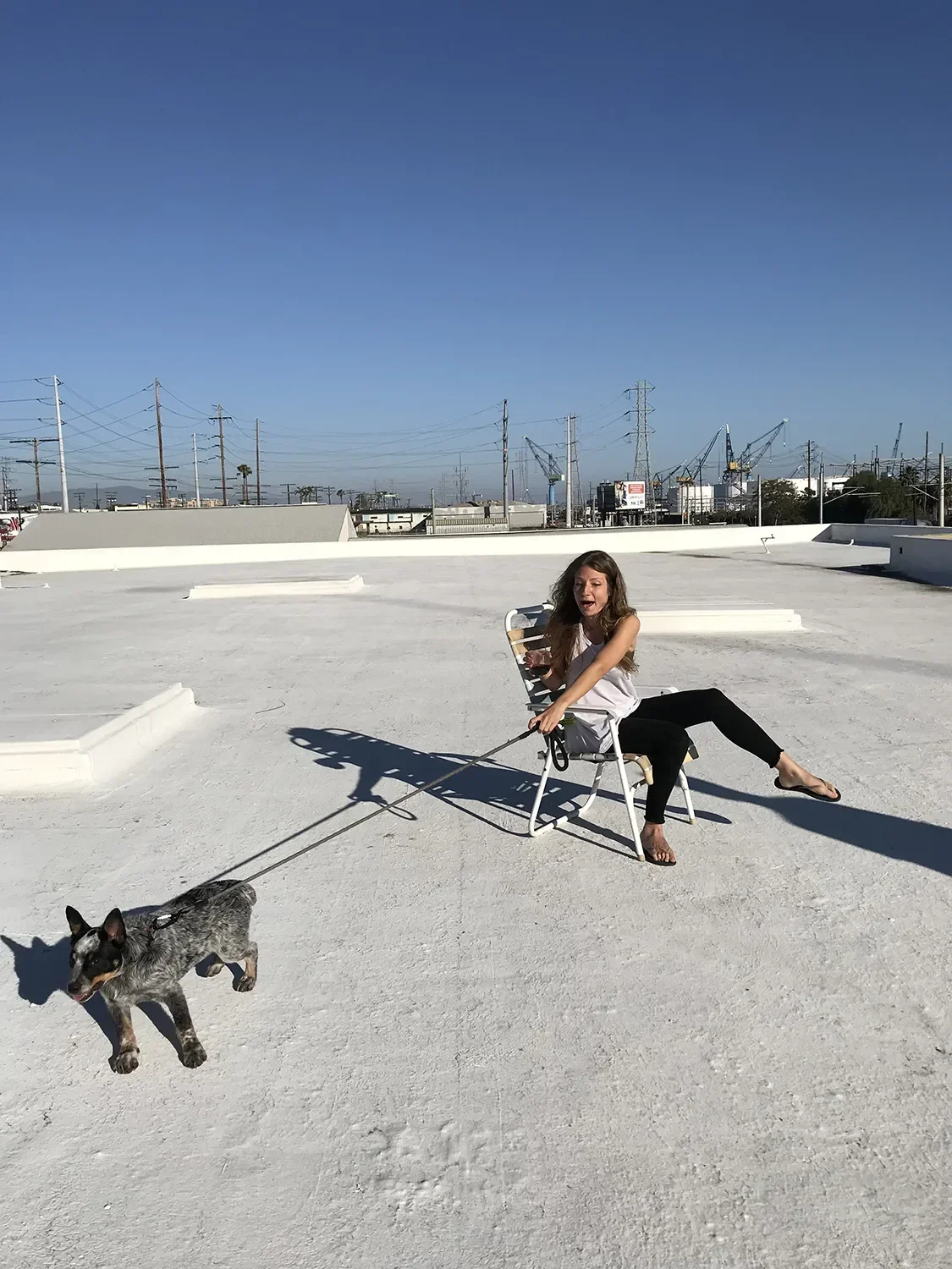 tecture-team-rooftop-sunset-shop-dog.webp