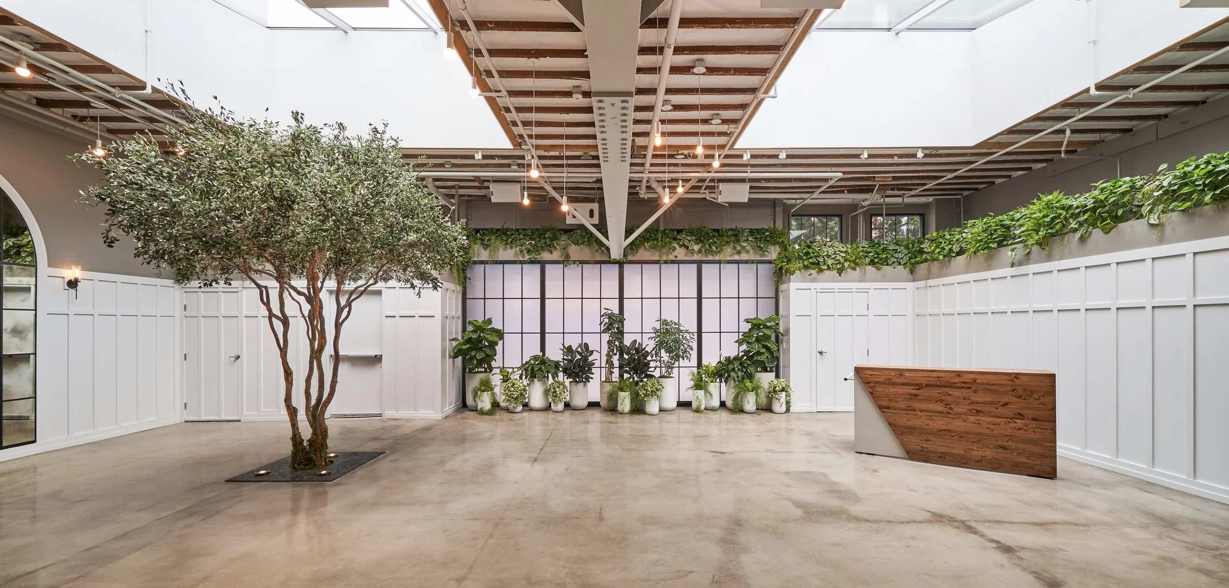 Flora - studioMAHA© 0.jpg