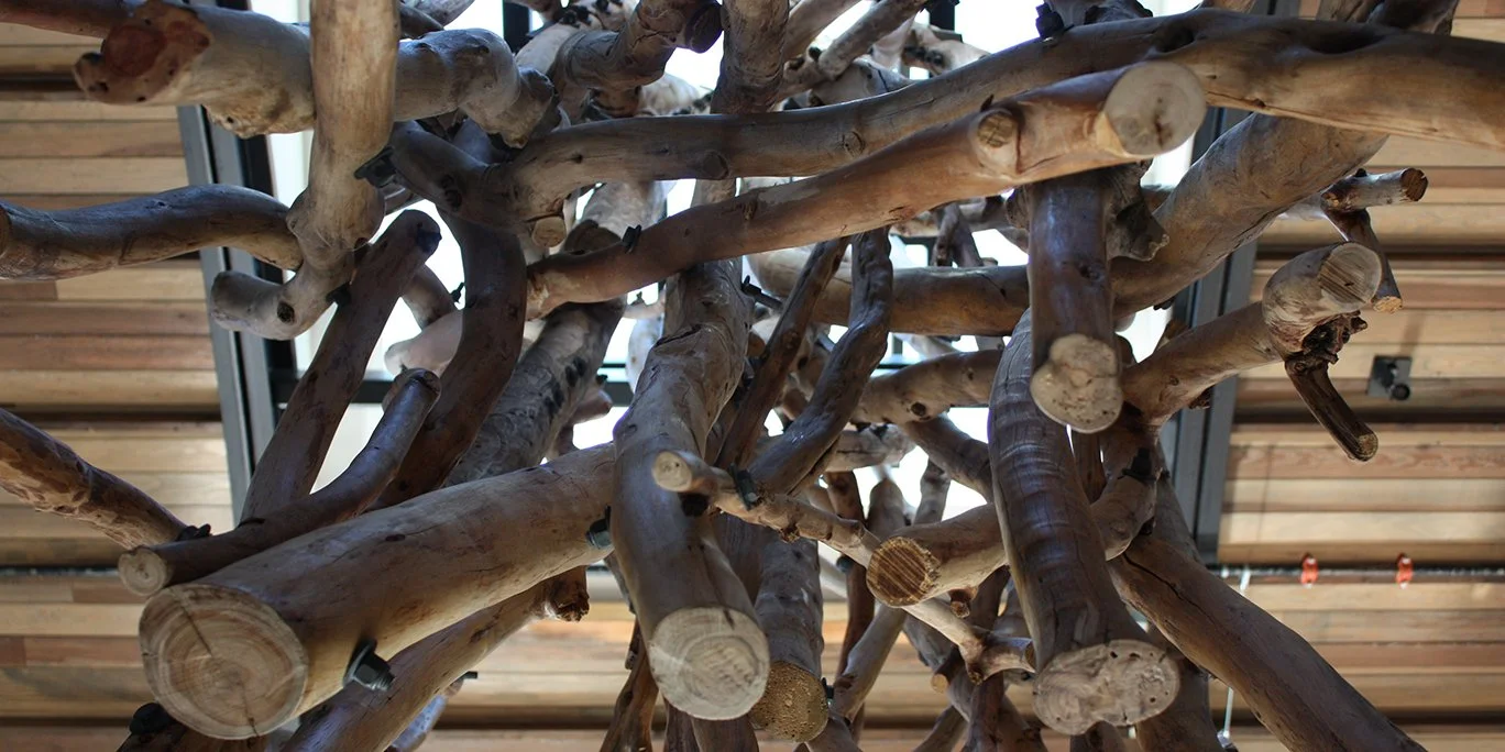 Tecture Kettner 125.JPG