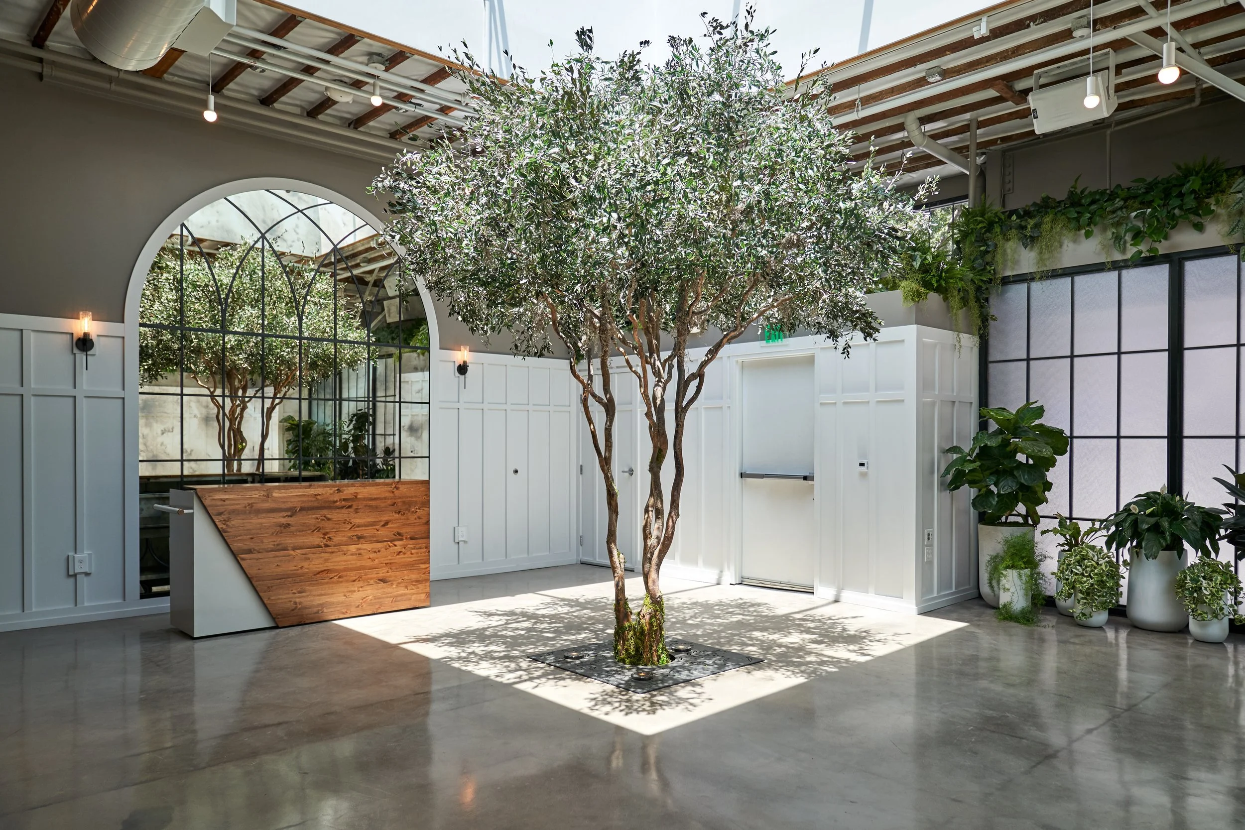 Flora - studioMAHA© 66.jpg