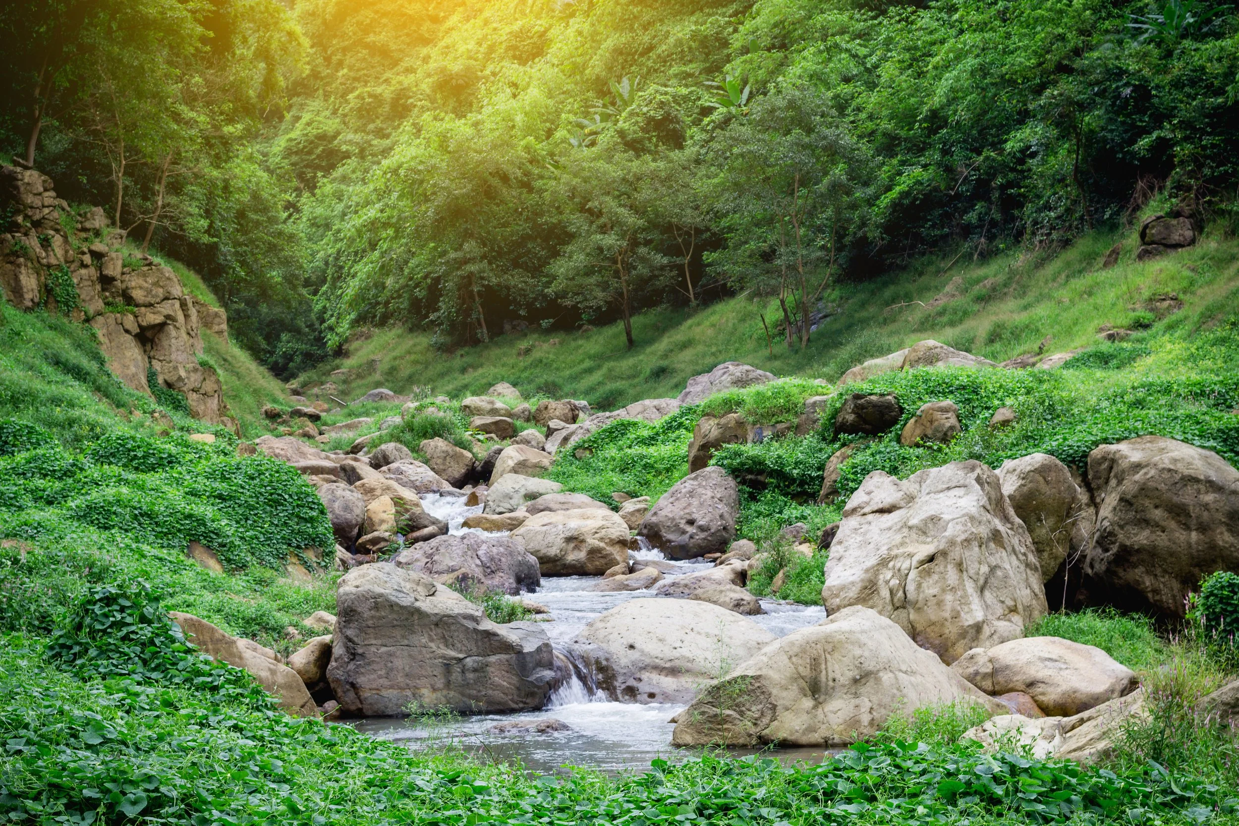 vecteezy_jungle-waterfall-soft-water-of-the-stream-in-the-natural_11637707.jpg
