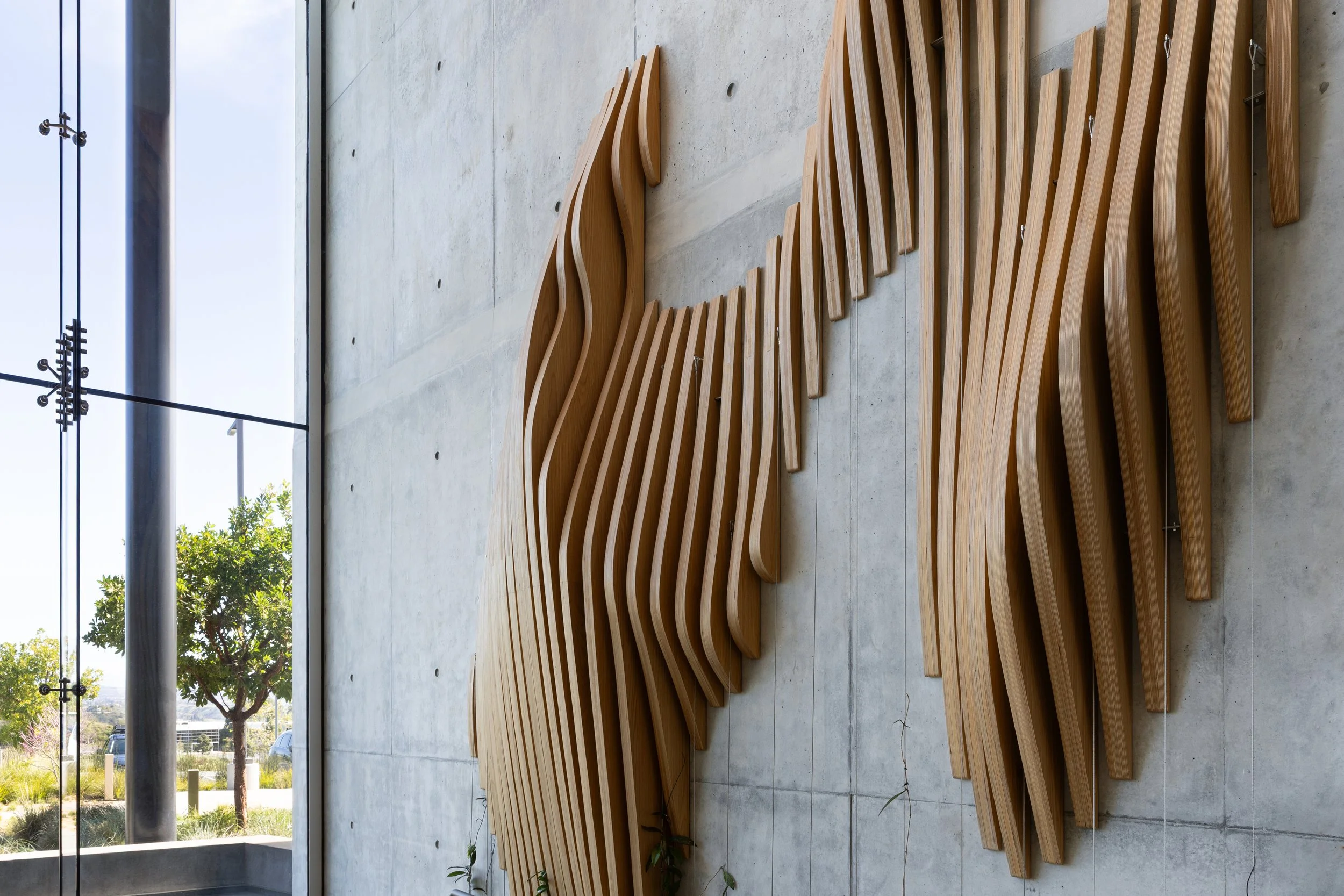 JS_Tecture_Avidity_00016.jpg