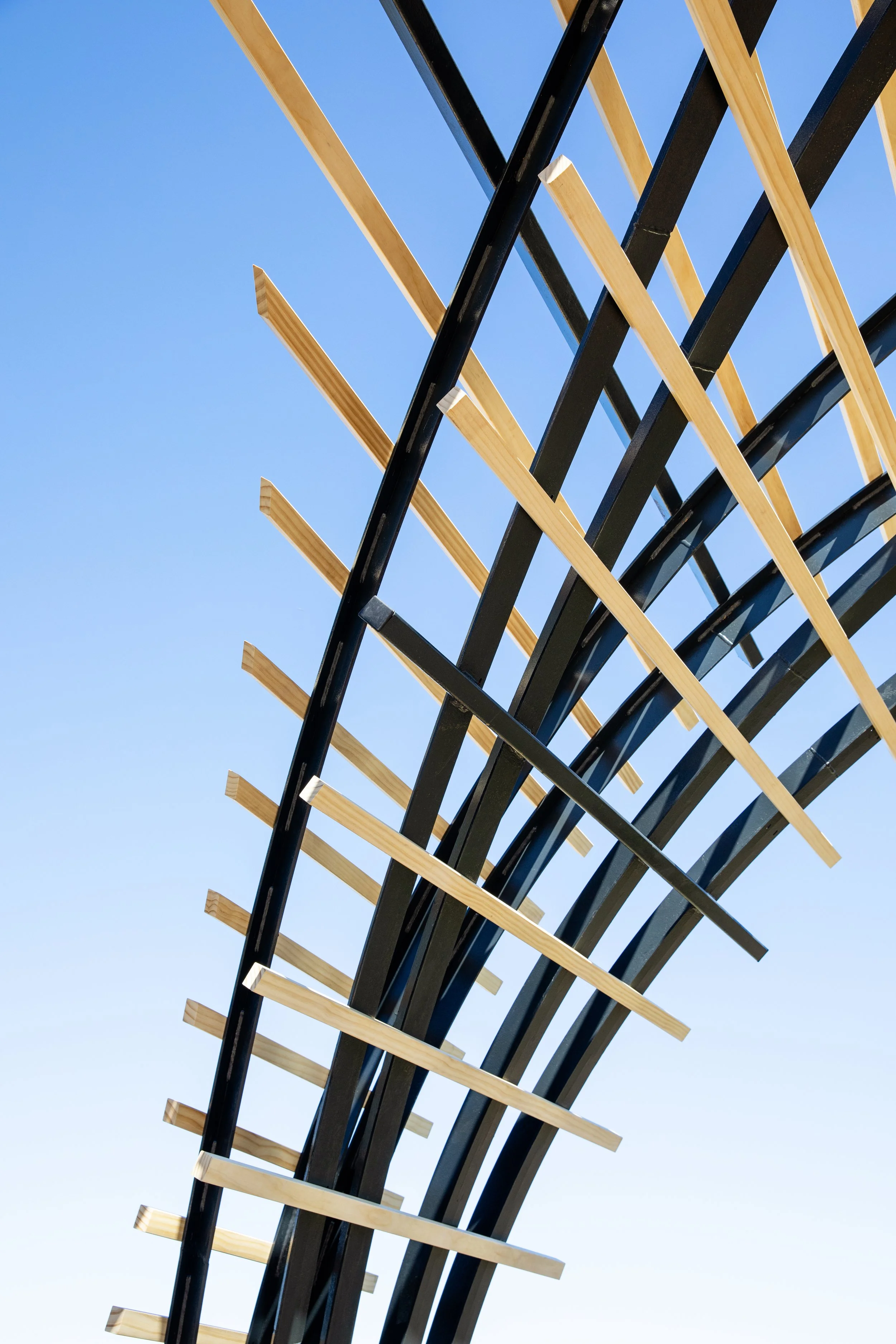 JS_Tecture_BoarkwalkTrellis_00003.jpg