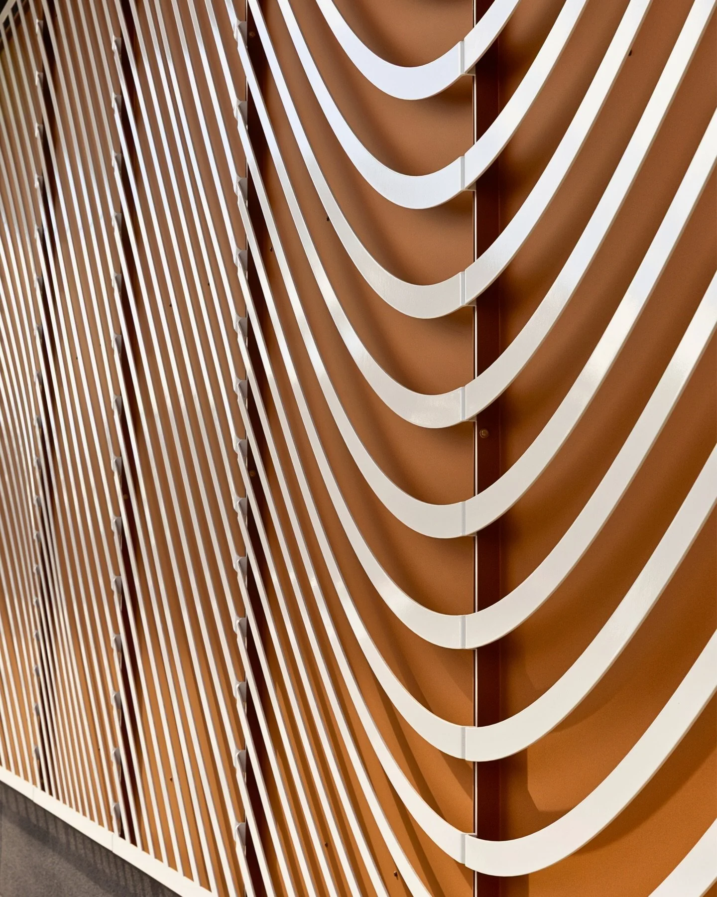 Here are a few of our favorite projects from this year.

Huge thank you to our clients and to everyone who makes Tecture what it is. These projects are the result of collaboration, trust, and a team that shows up every day ready to push ideas further