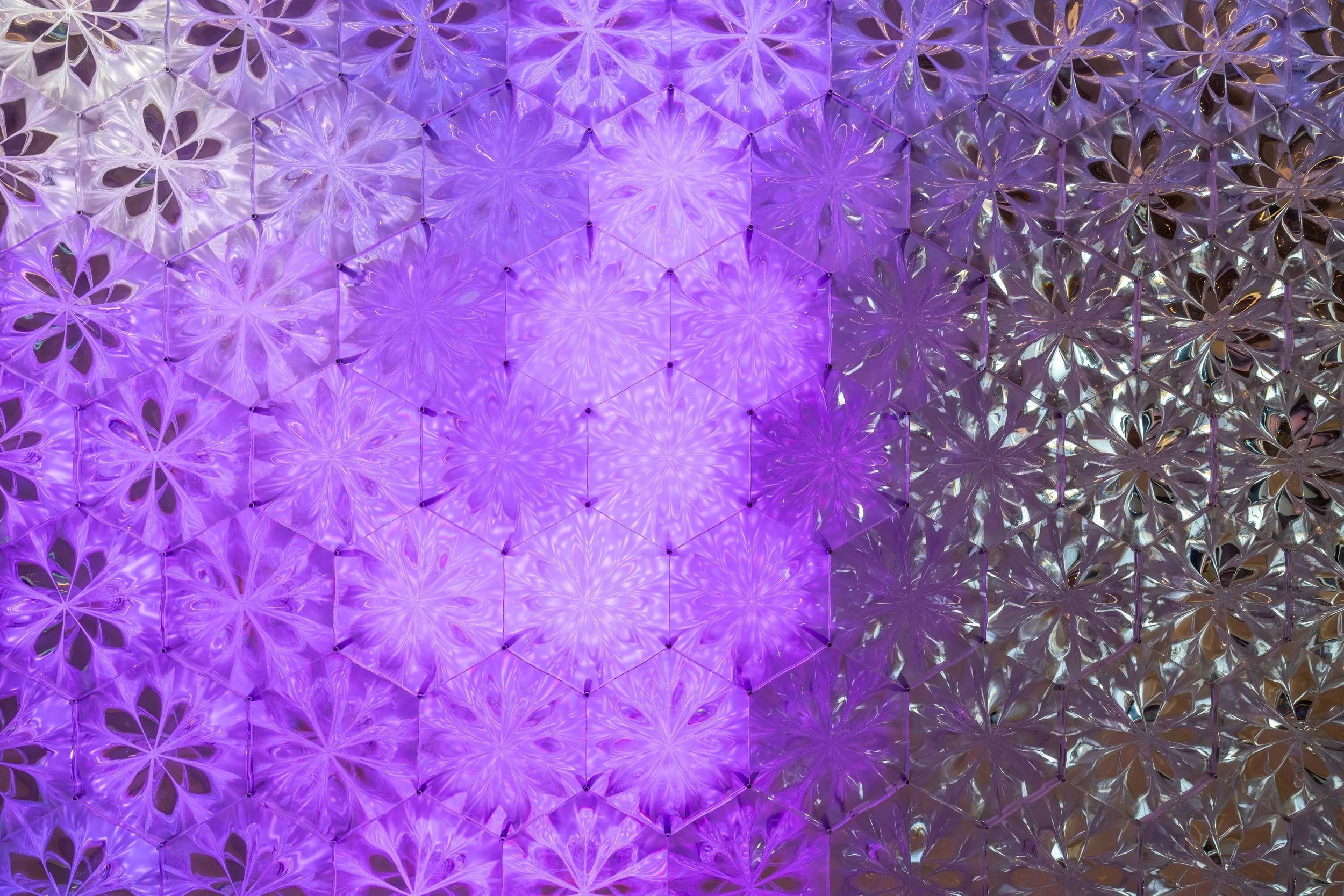 Chameleon Wall-31.jpg