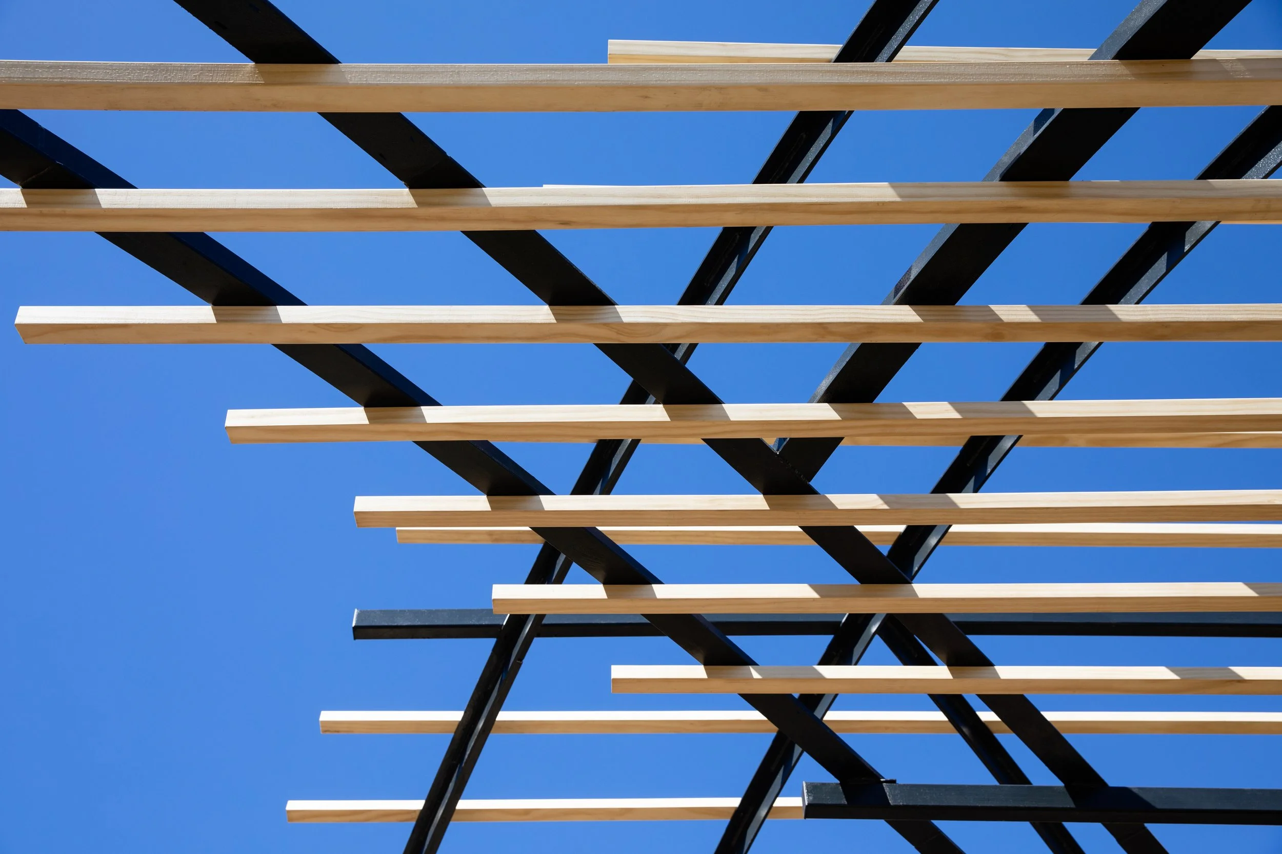 JS_Tecture_BoarkwalkTrellis_00008.jpg