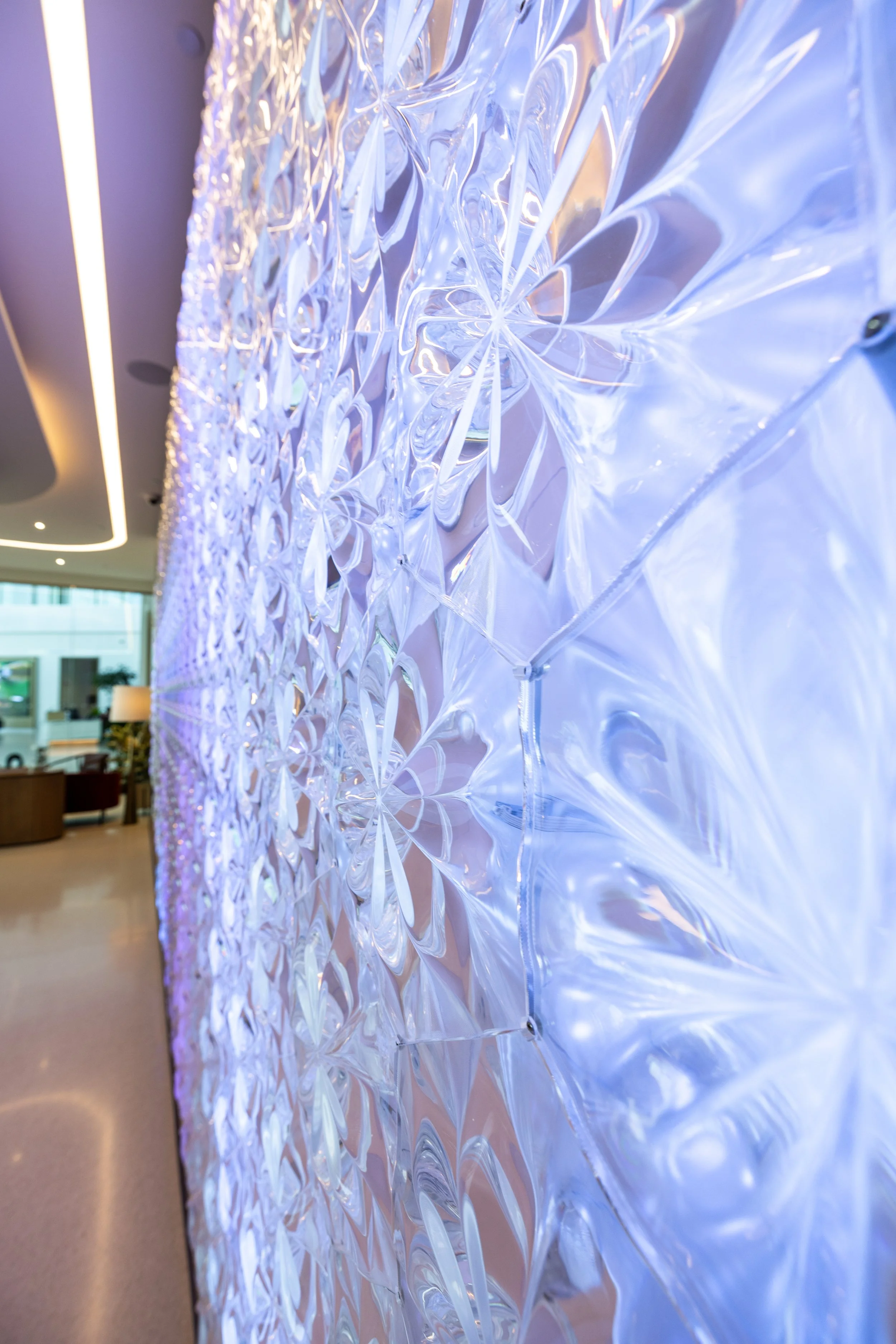 Chameleon Wall-26.jpg