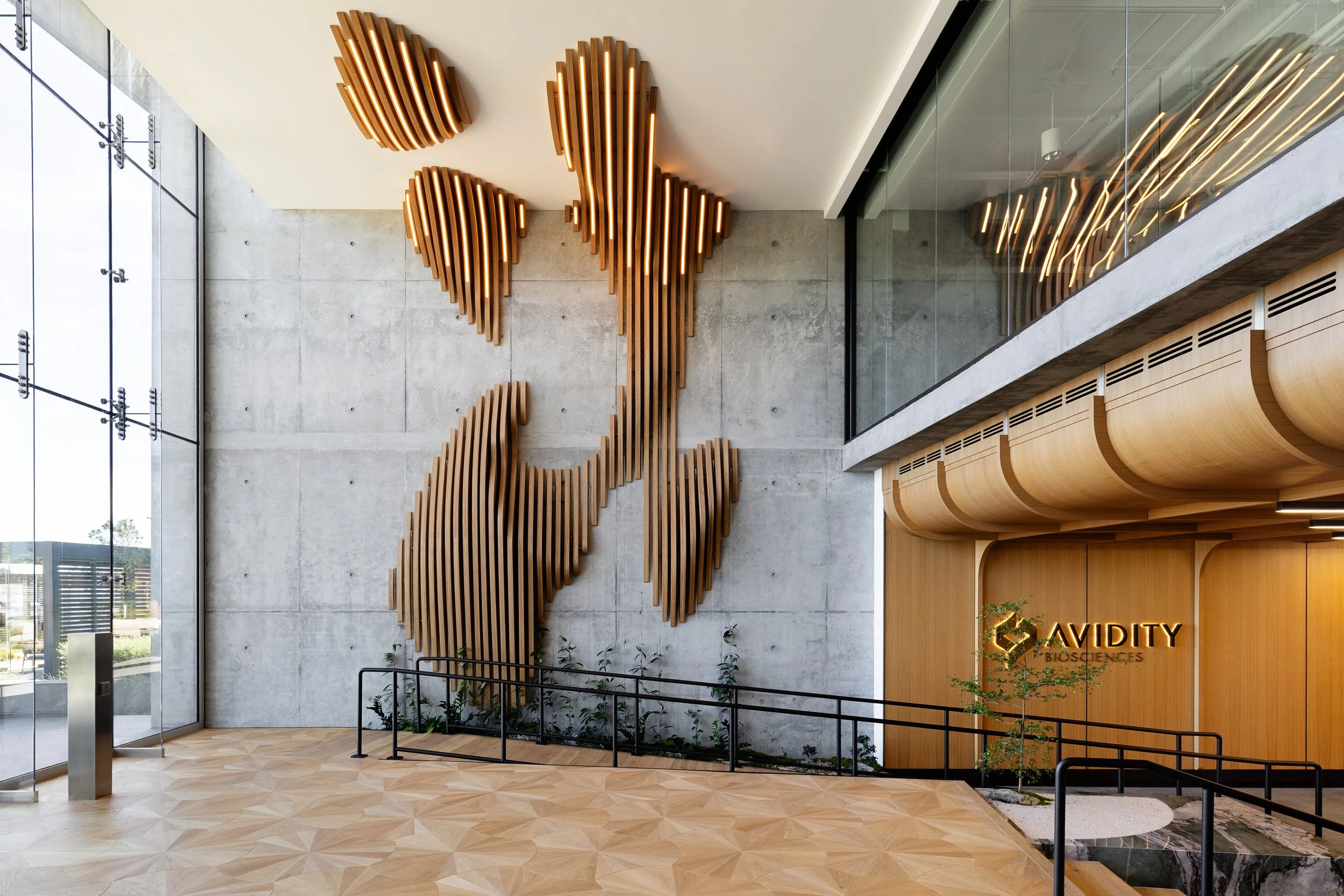 JS_Tecture_Avidity_00014.jpg