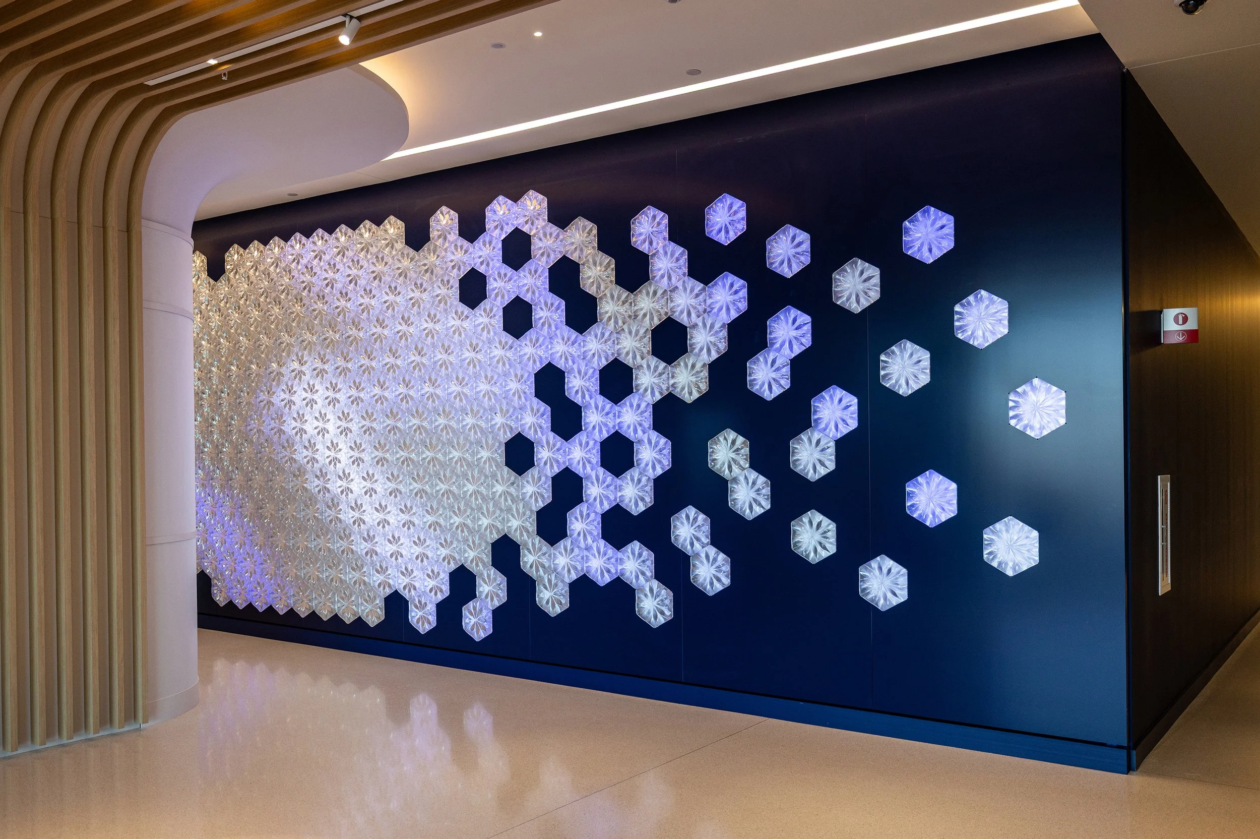 Chameleon Wall-40.jpg