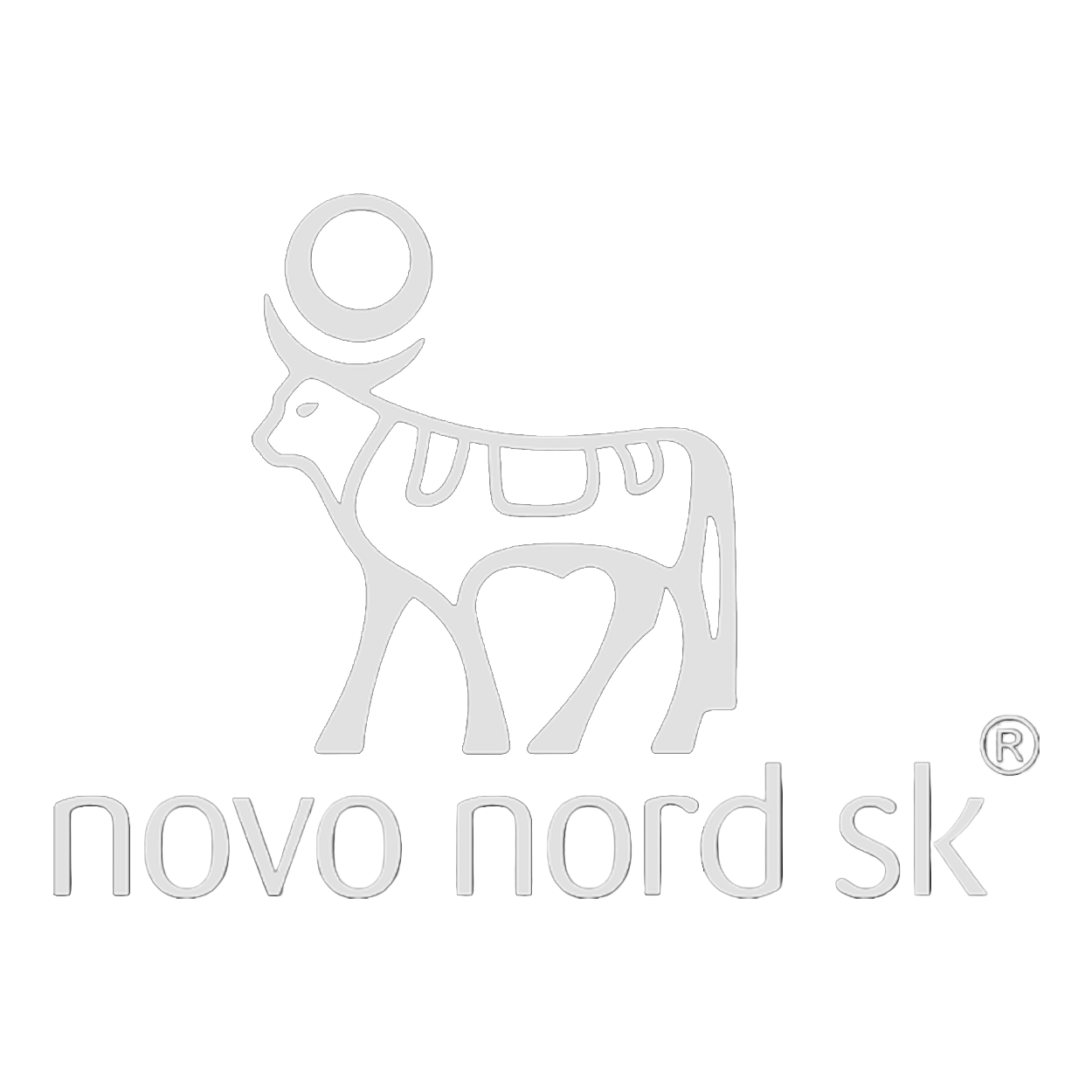 Novo Nordisk SK logo.