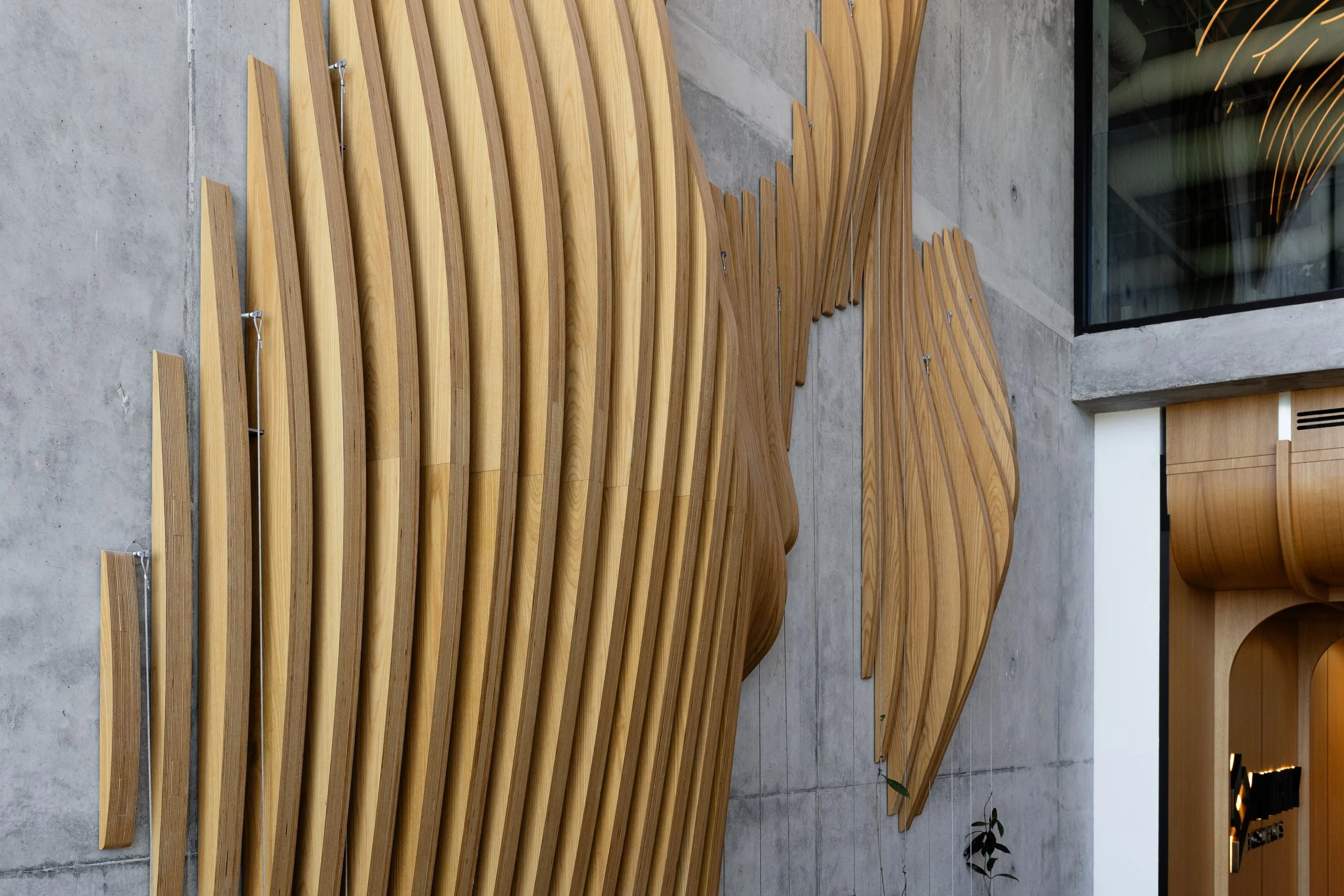 JS_Tecture_Avidity_00015.jpg