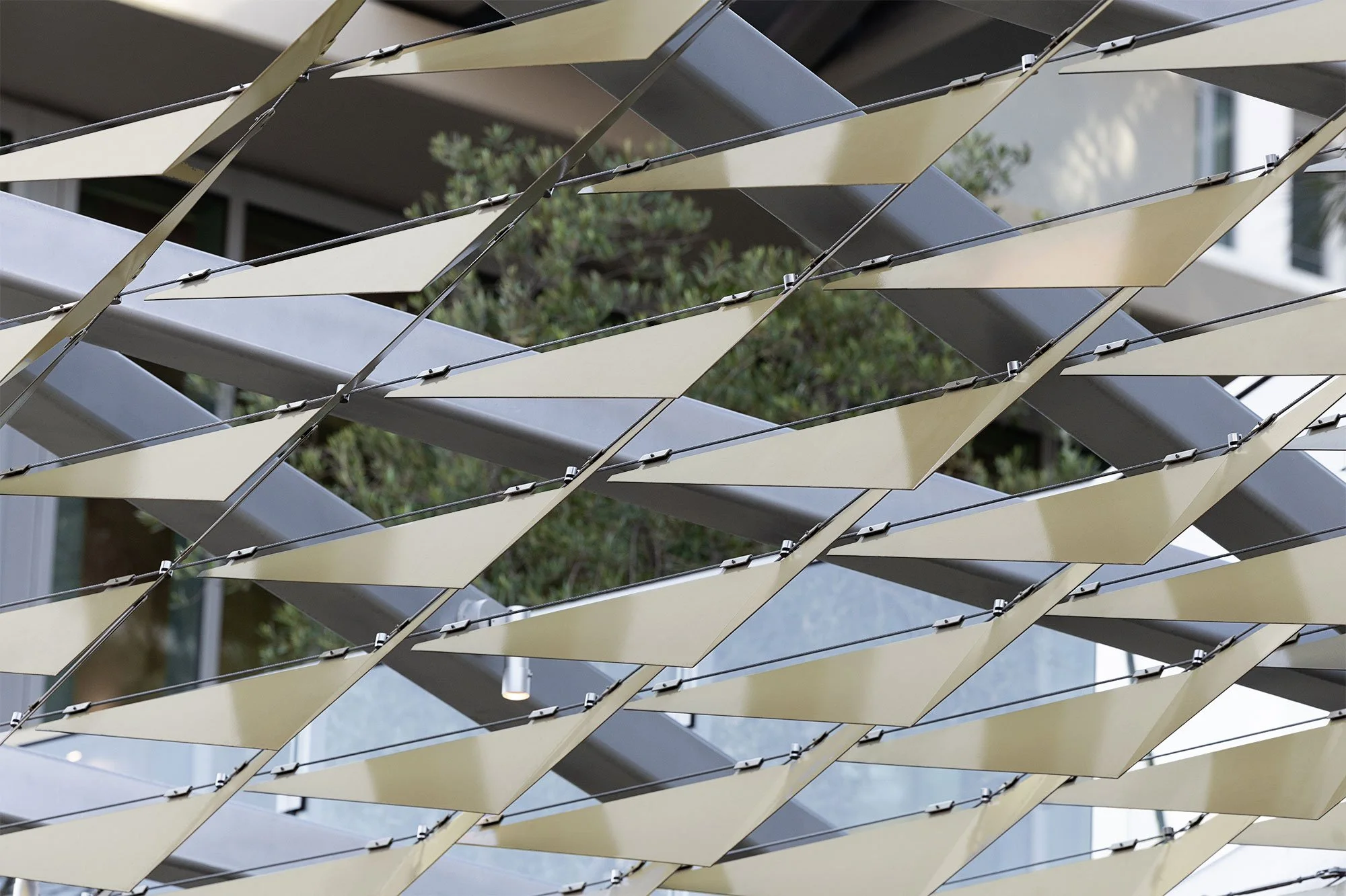 [Architectural Features] North City