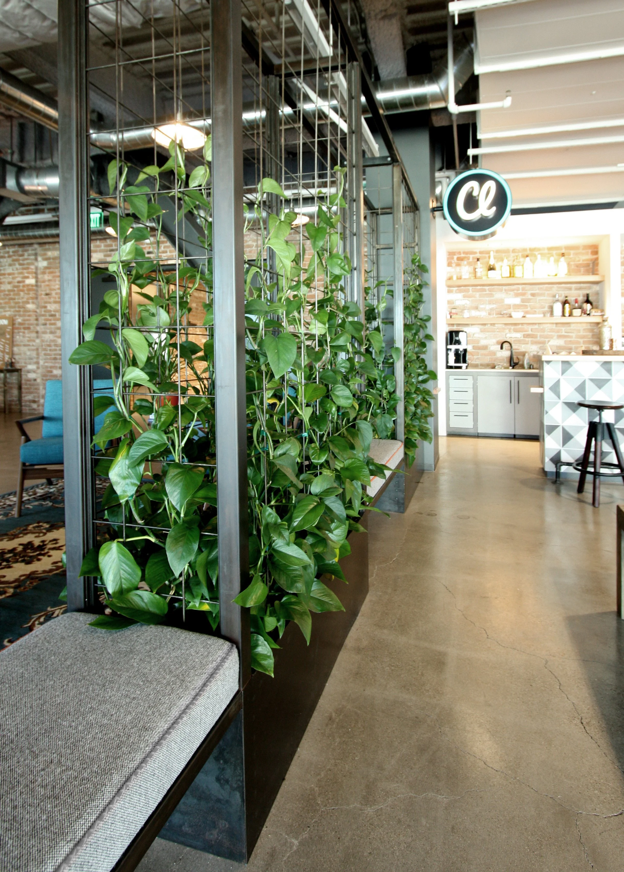 Office_Design_Plants12.jpg