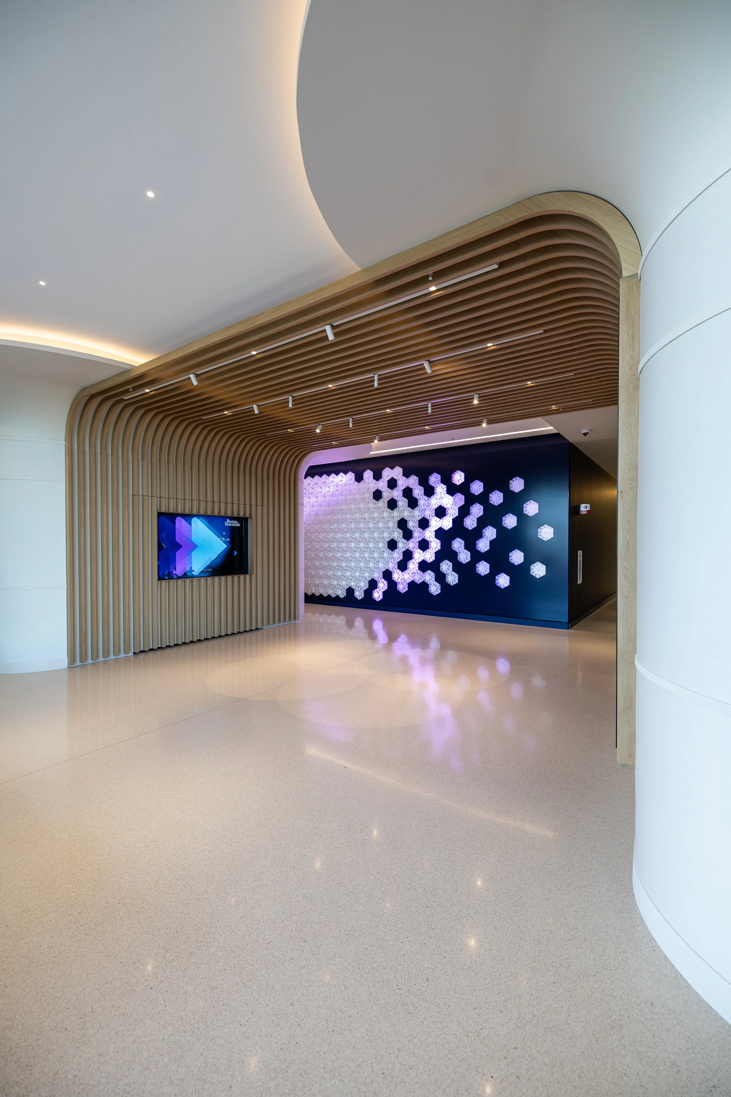 Chameleon Wall-22.jpg