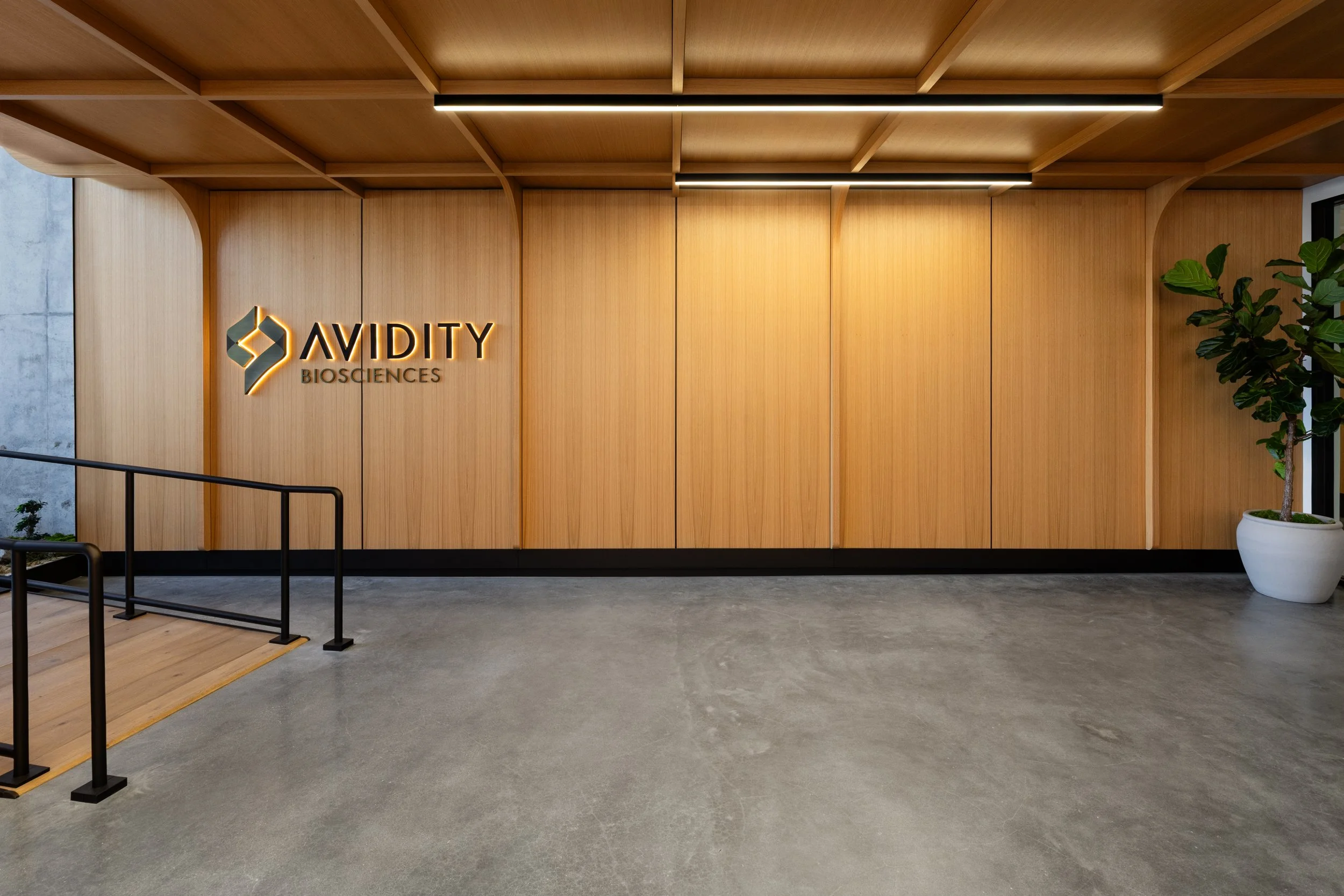 JS_Tecture_Avidity_00013.jpg