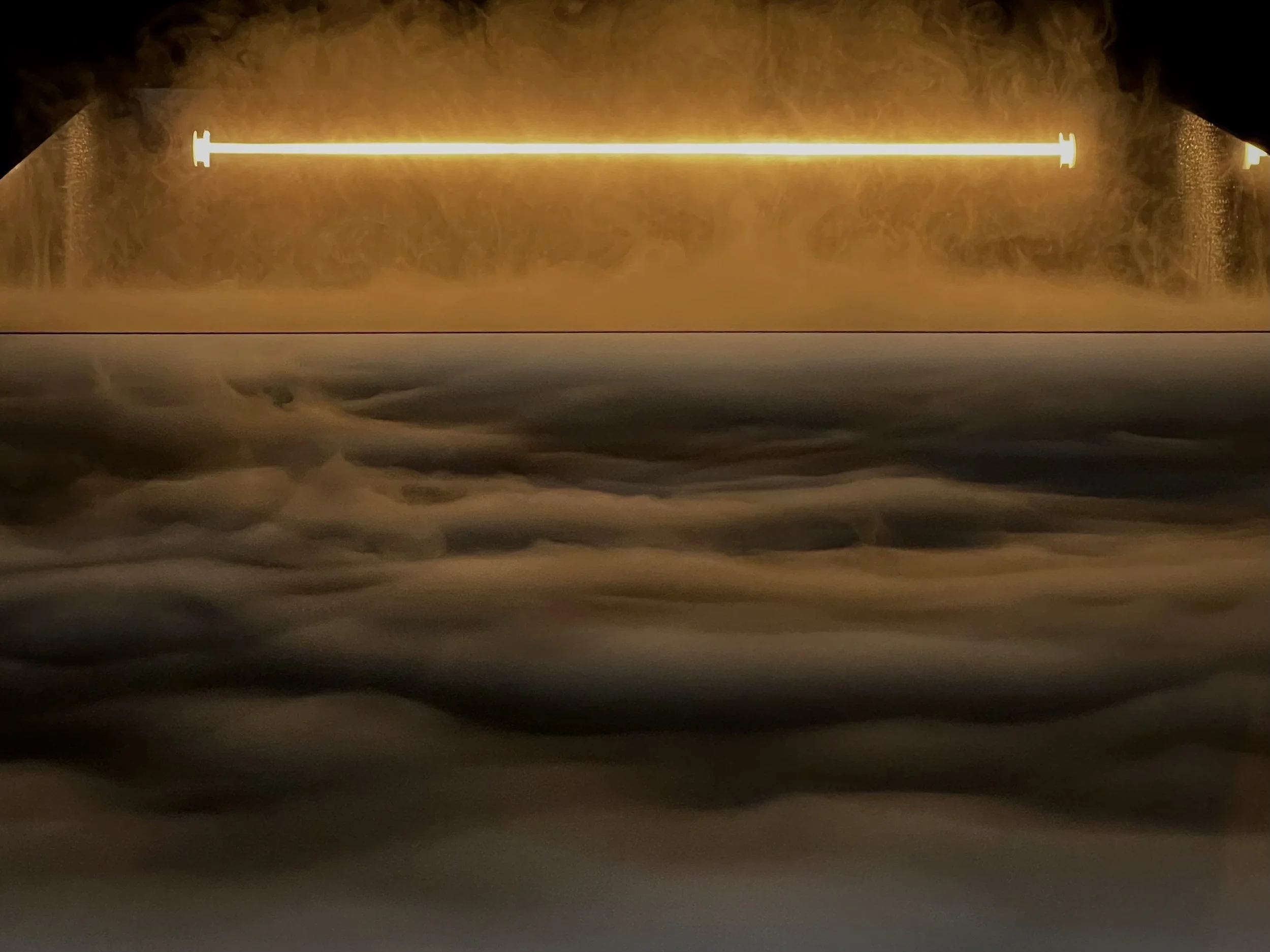 Dissipative Topologies