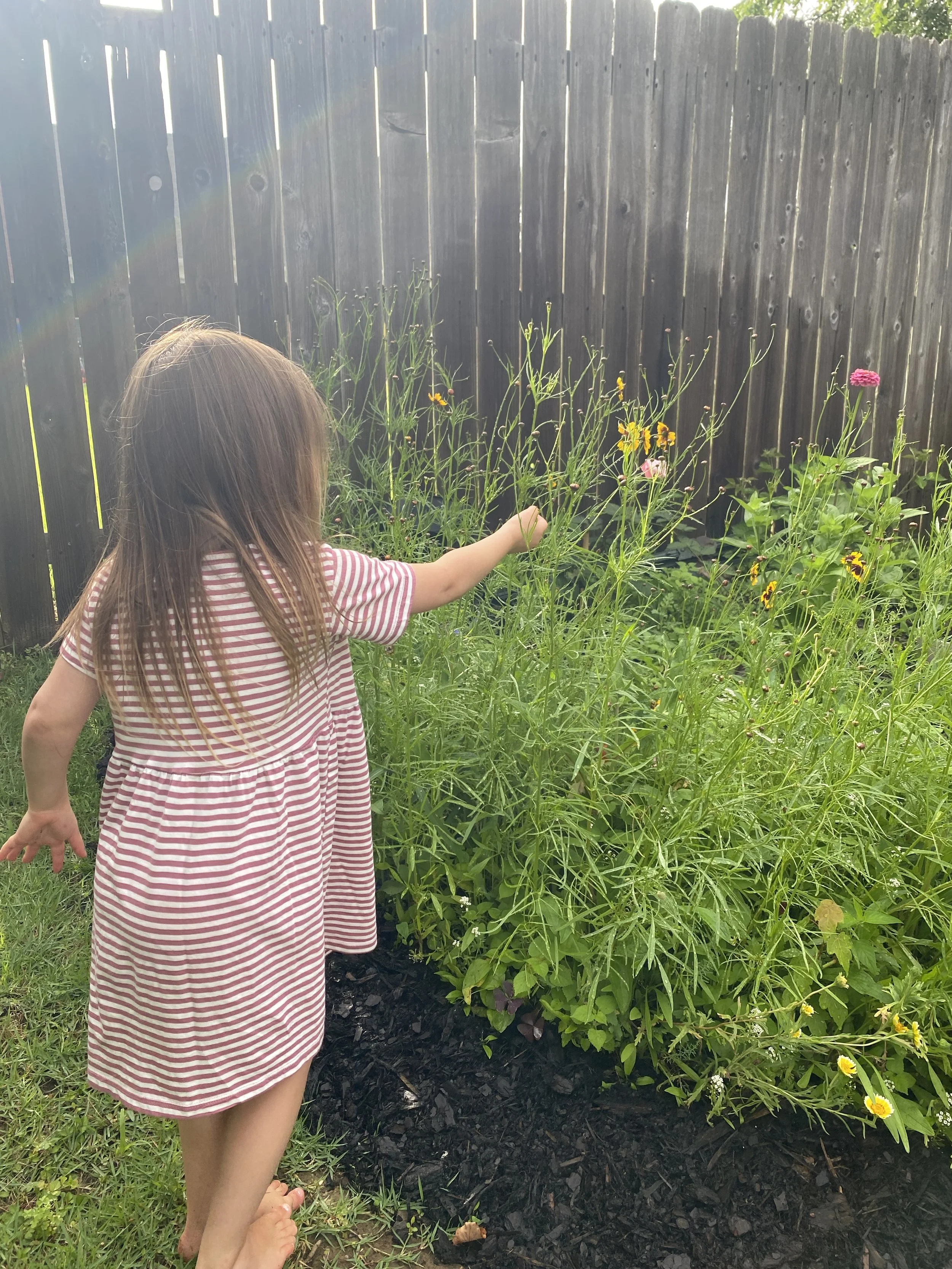 child in a garden